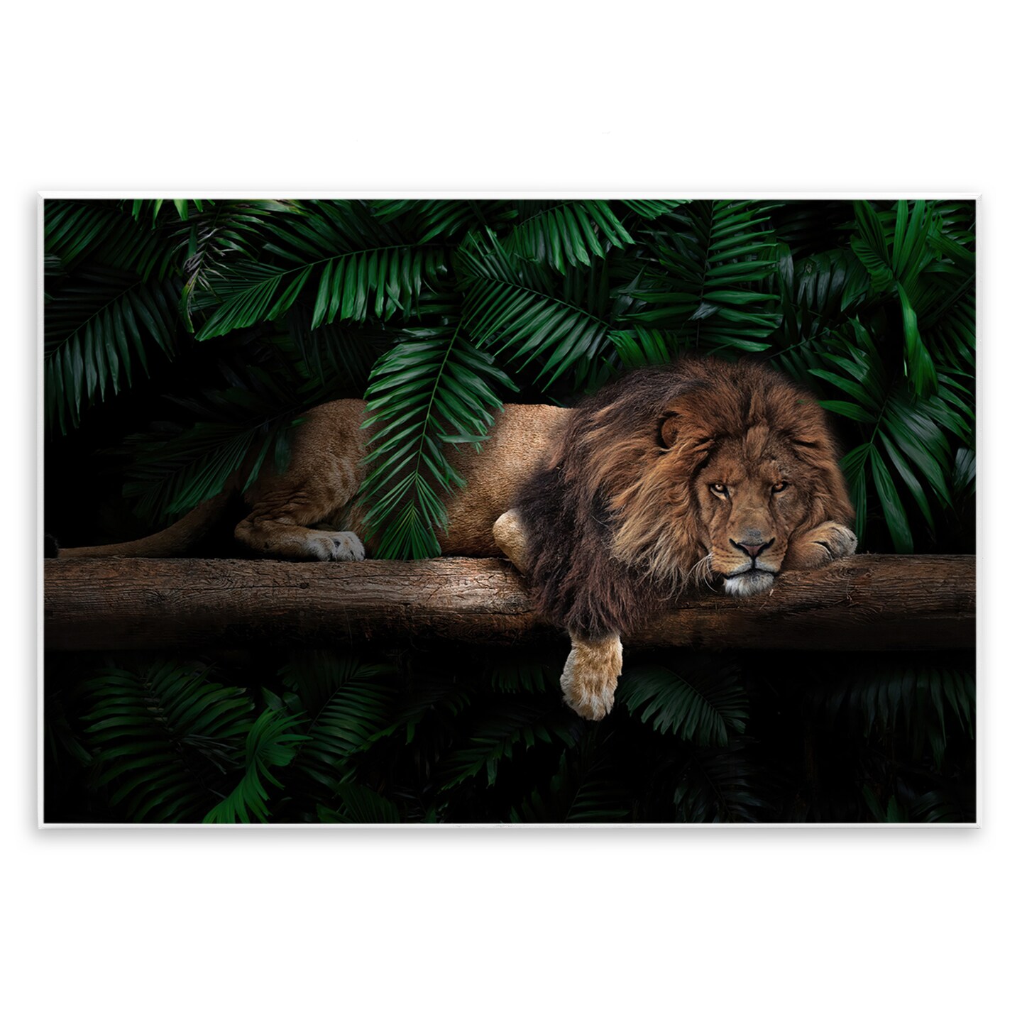 Stupell Industries Lion on Tropical Branch Wall Plaque Art Design by Reinders