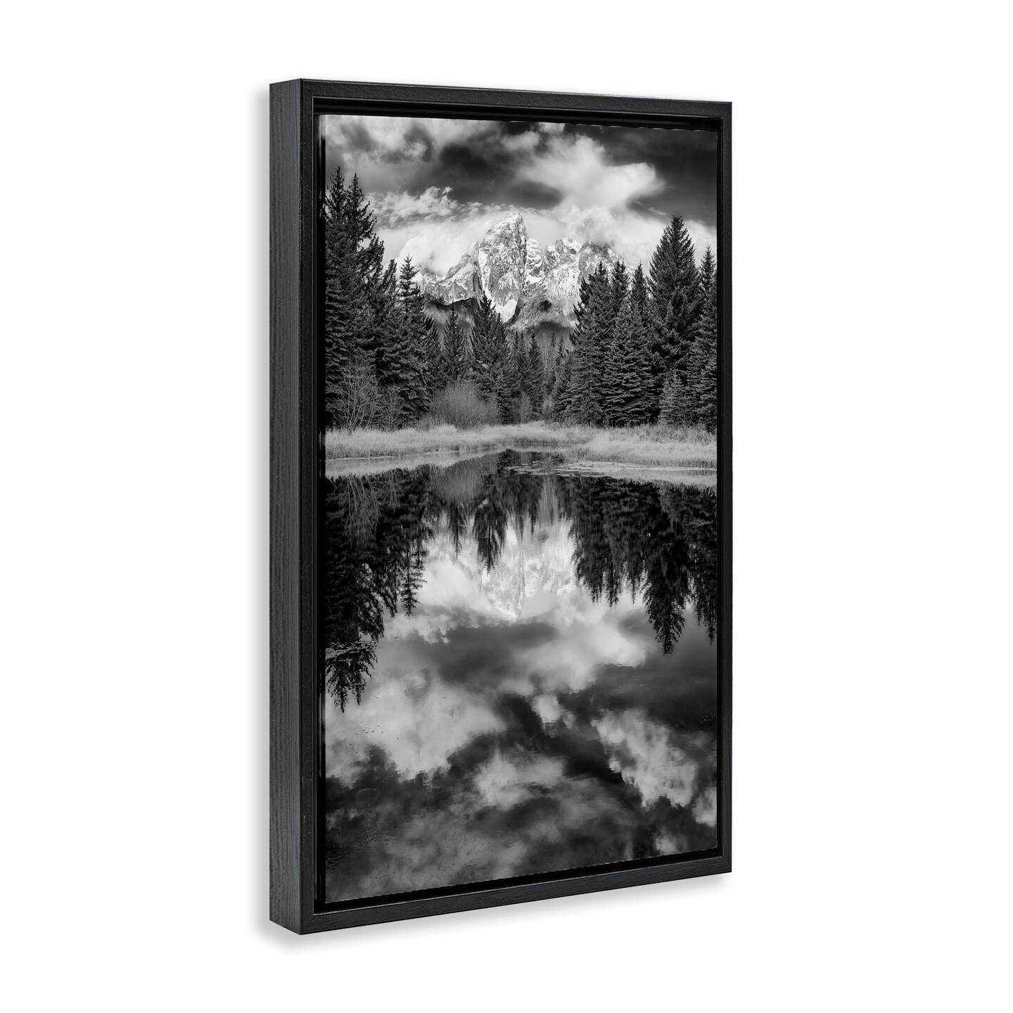 Stupell Industries Black & White Forest Reflection Framed Floater Canvas Wall Art Design by Rick Berk