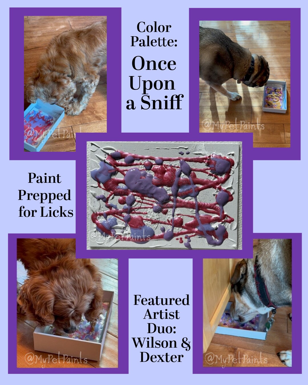 MyPetPaints Art Kit - Dog Painting, Lick Painting, Pet Art, DIY