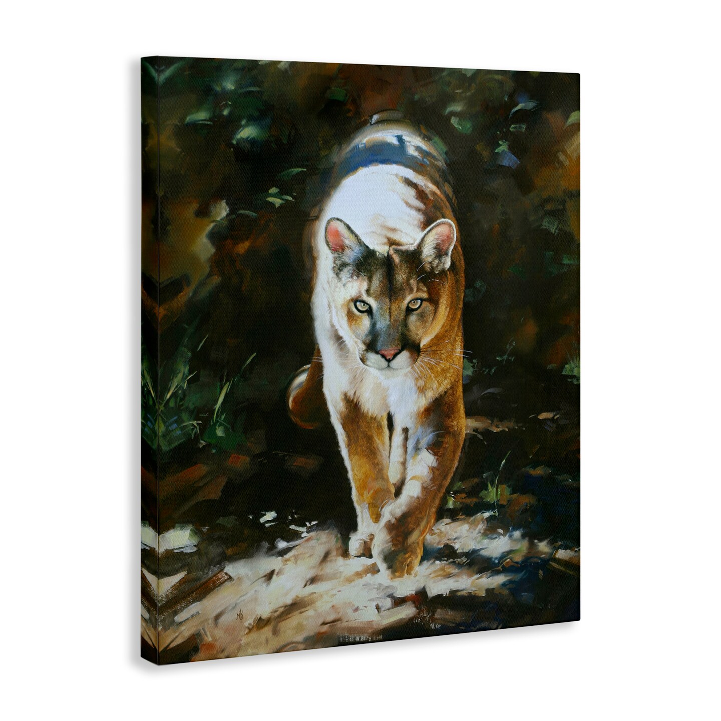 Stupell Industries Out of Shadows Panther Canvas Wall Art Design by Mark Kelso