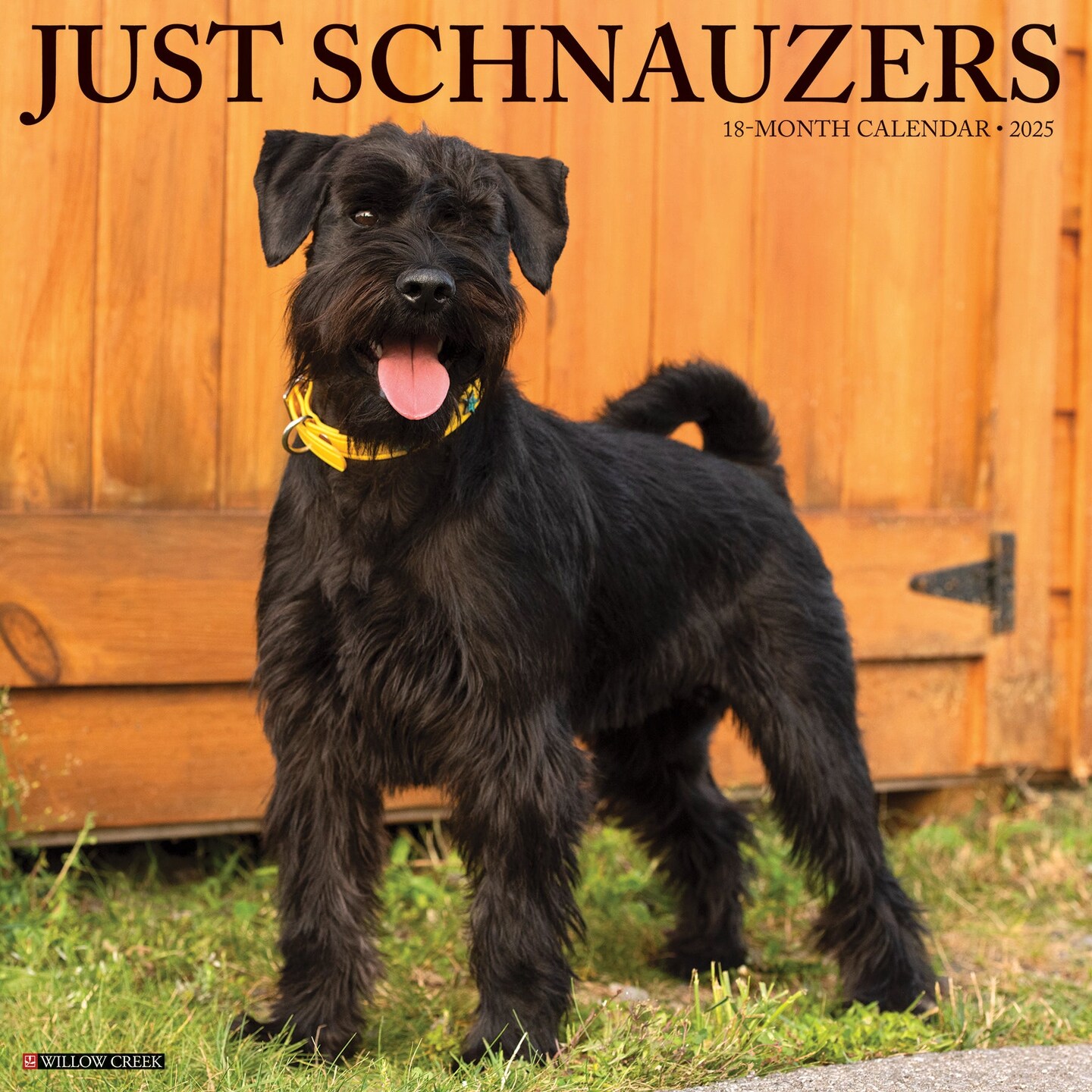 Schnauzers 2025 Wall Calendar