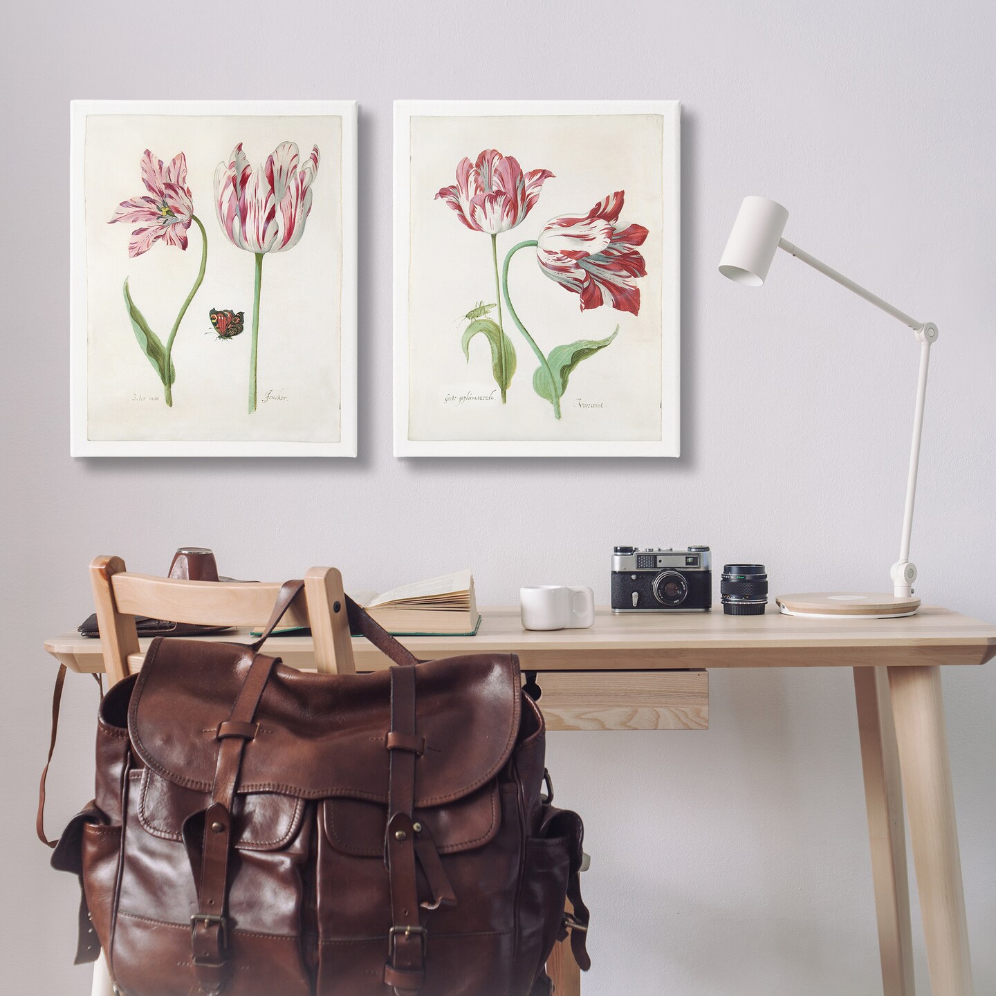 Stupell Industries Vintage Tulip &#x26; Insect Studies 2 pc Canvas Wall Art Set Design by Jacob Marrel