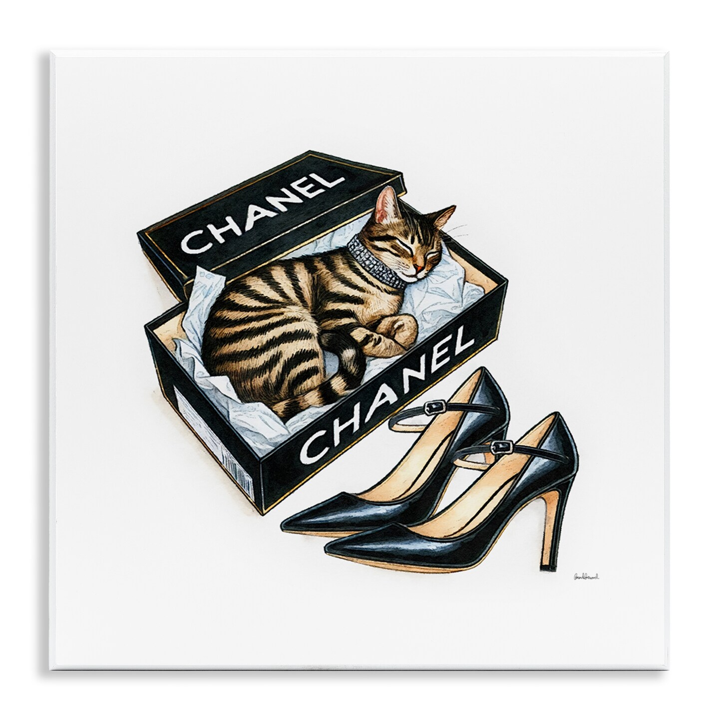 Stupell Industries Sleeping Cat in Shoe Box Wall Plaque Art Design by Amanda Greenwood