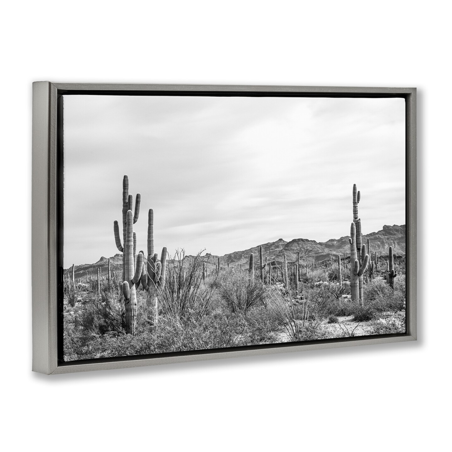 Stupell Industries Sonoran Desert Wonderland Framed Floater Canvas Wall Art Design by Nathan Larson