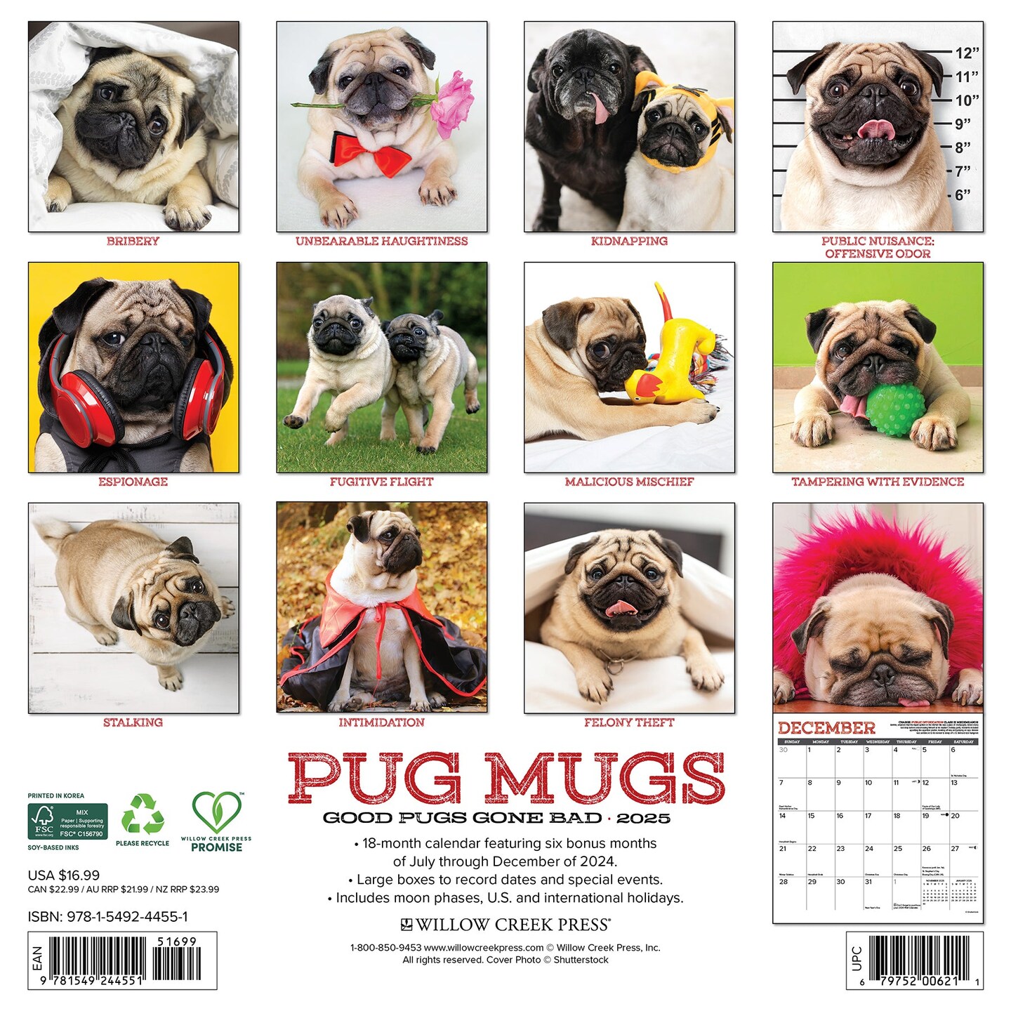 Pug Mugs 2025 Wall Calendar