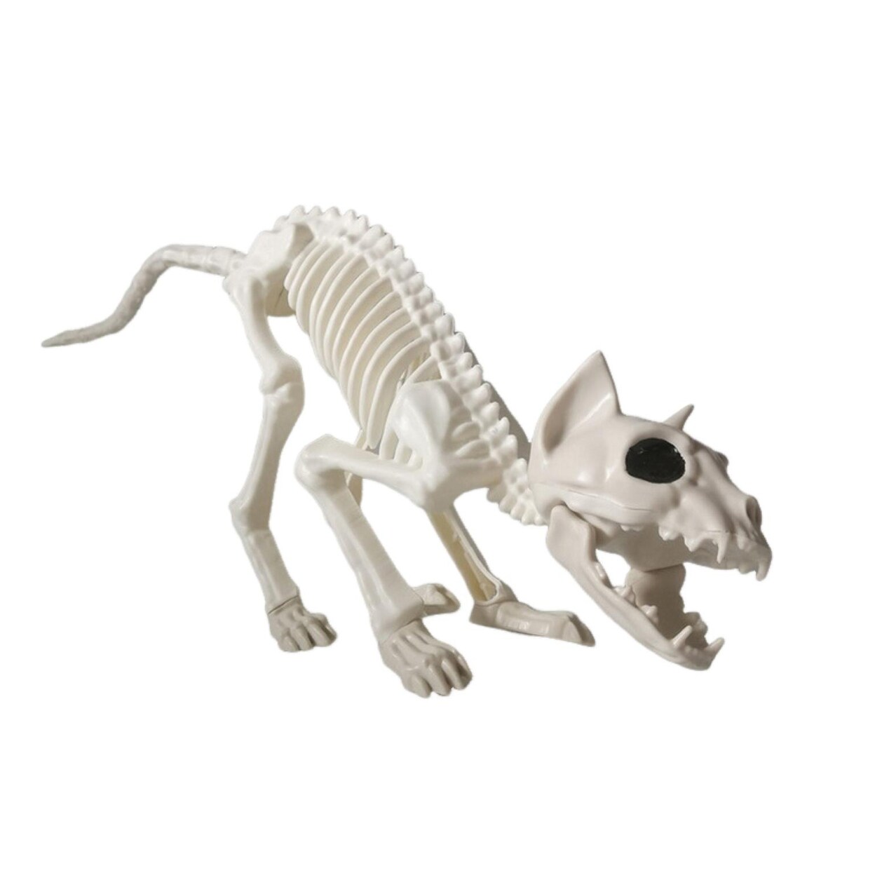 Animal Skeleton Model Halloween Decoration Crow Spider Lizard Cat Skull Statue Halloween Skeleton Sculpture Resin