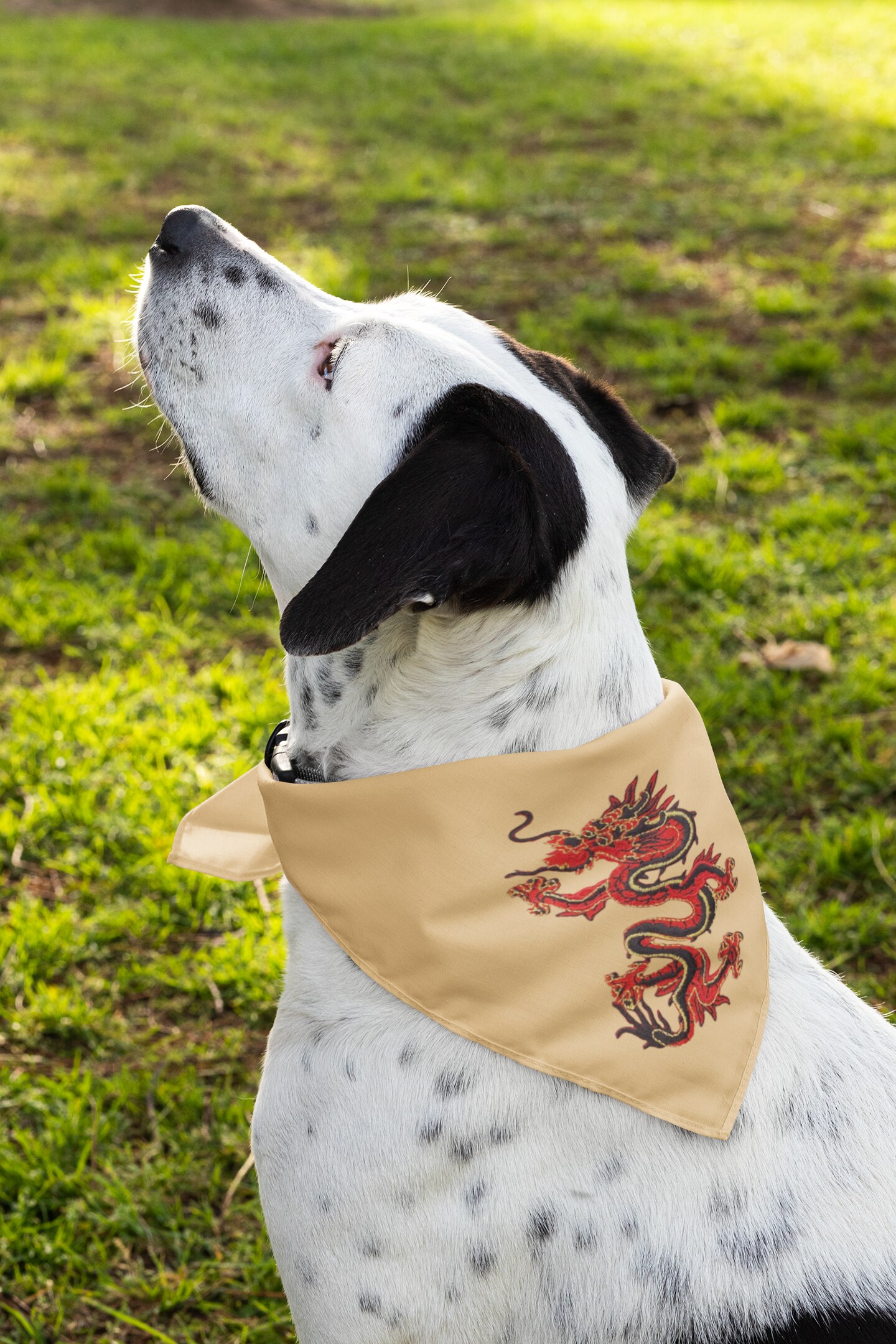 4" Red Chinese Dragon Facing Left, Embroidered, Iron on Patch