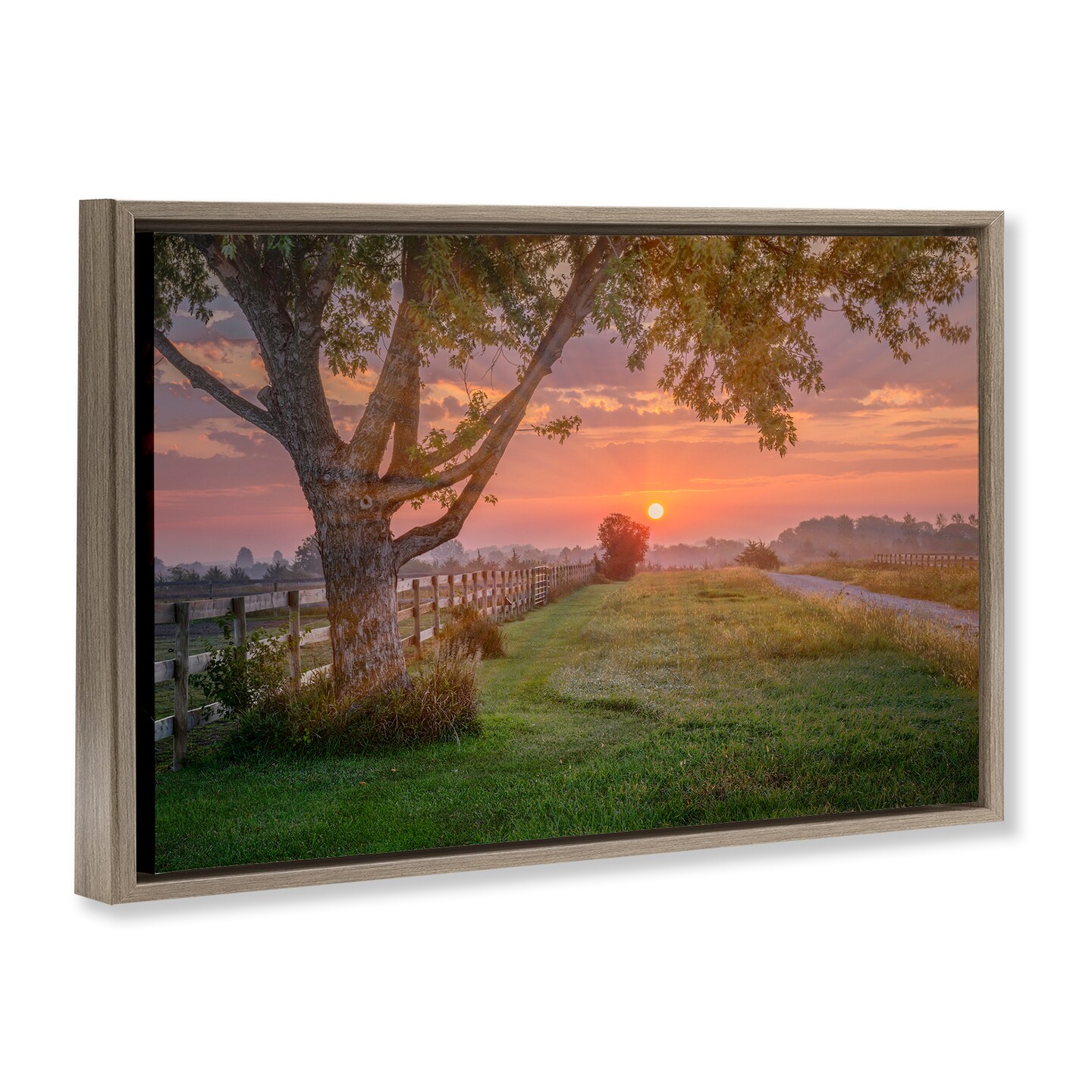 Stupell Industries Bold Sunrise in Countryside Framed Floater Canvas Wall Art Design by Marty Hulsebos