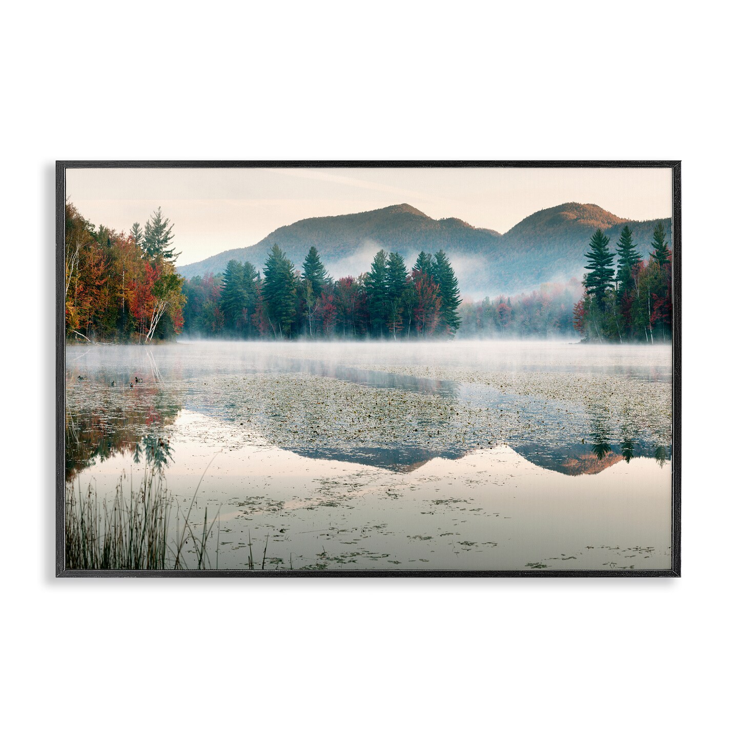 Stupell Industries Fall Foliage Circling Lake Framed Giclee, design by Shelley Lake