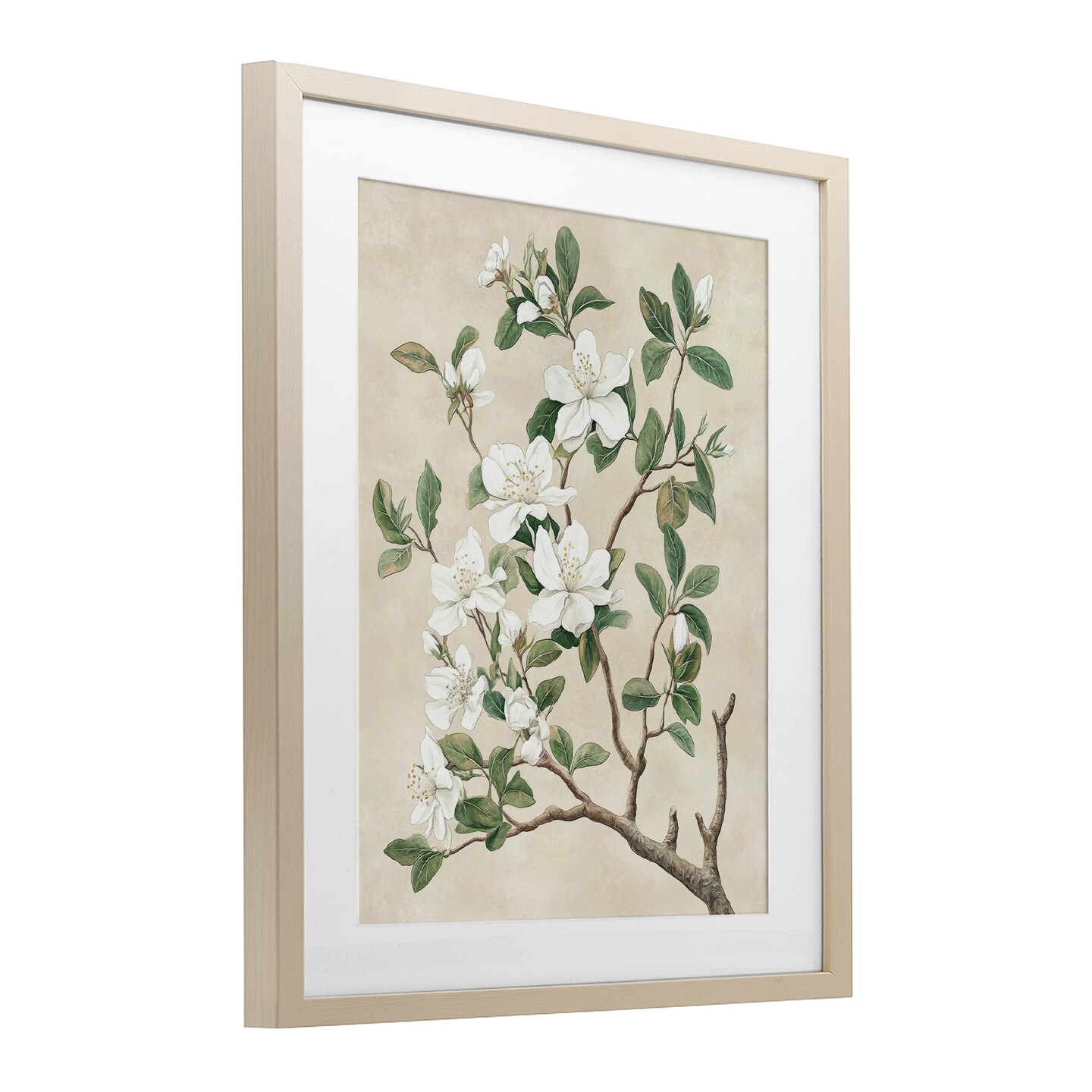 Stupell Industries Vintage White Blossomed Tree Framed Print Under Glass, design by Petal Prints Design