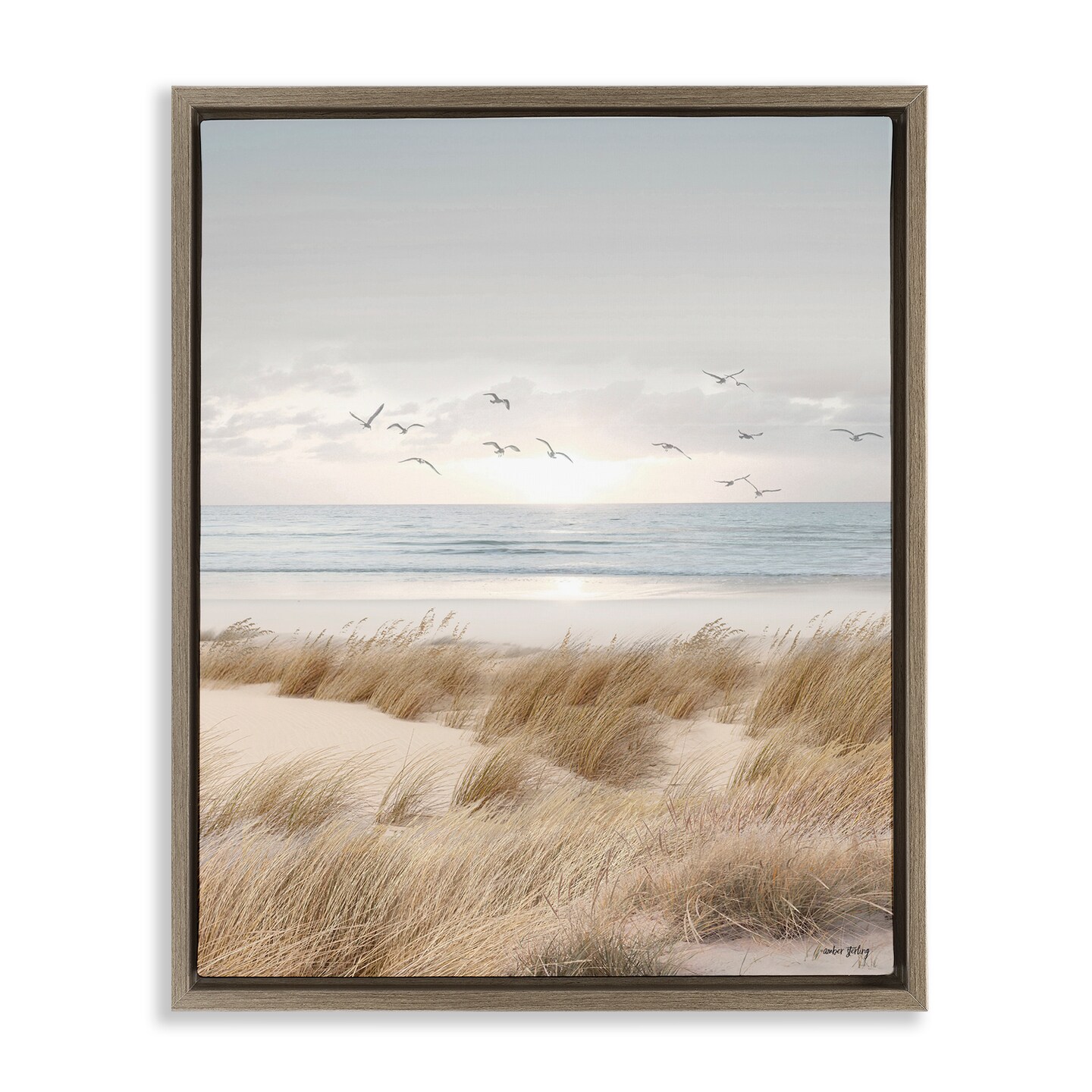 Stupell Industries Coastal Dreams Seagulls Floating Frame, design by Amber Sterling