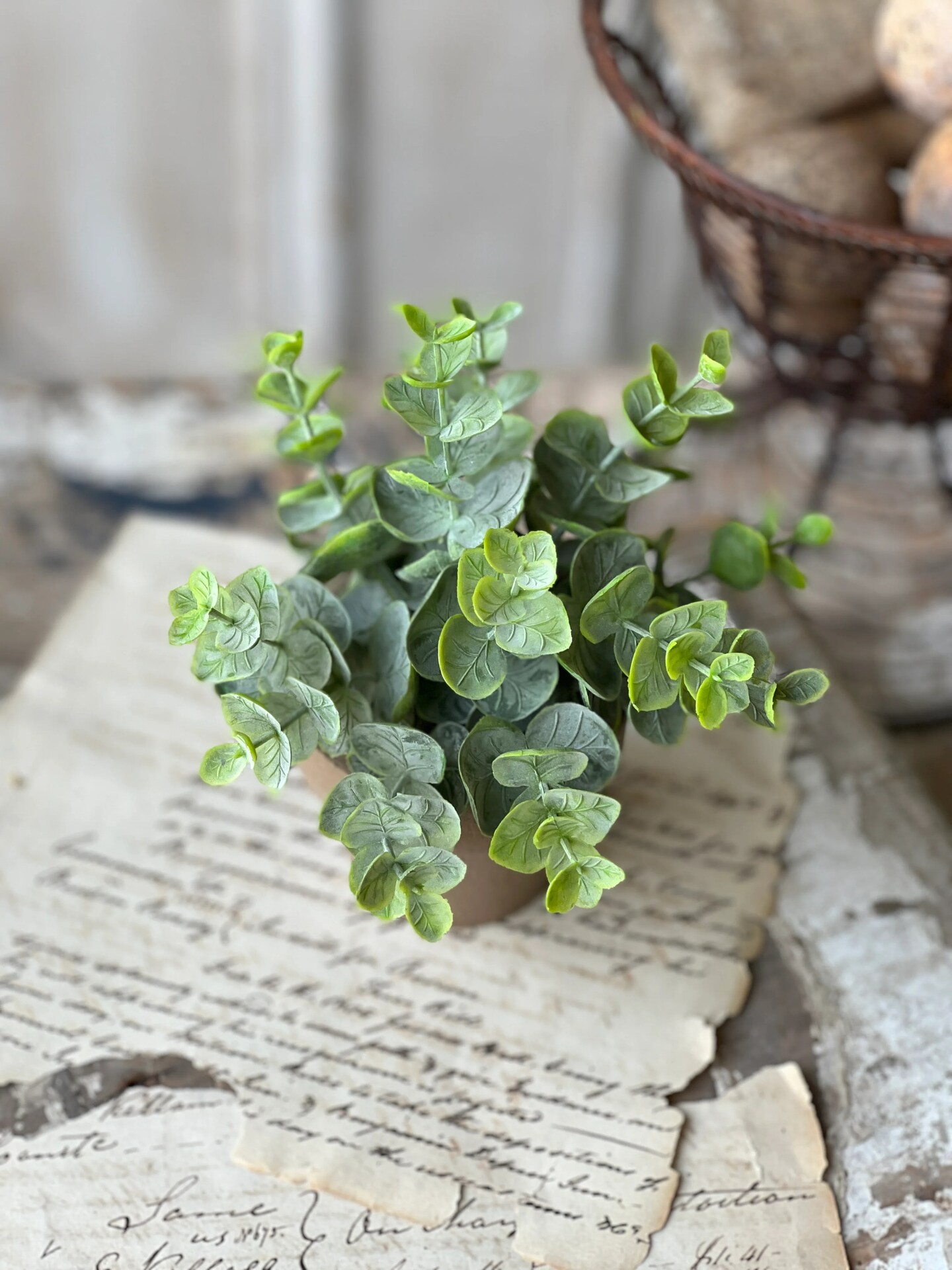 Greenery in Pot &#x2013; 6&#x22; , Set of 4, Decorative Accent &#x2013; Faux Plant in Rustic Paper Mache Pot - Holiday Tree