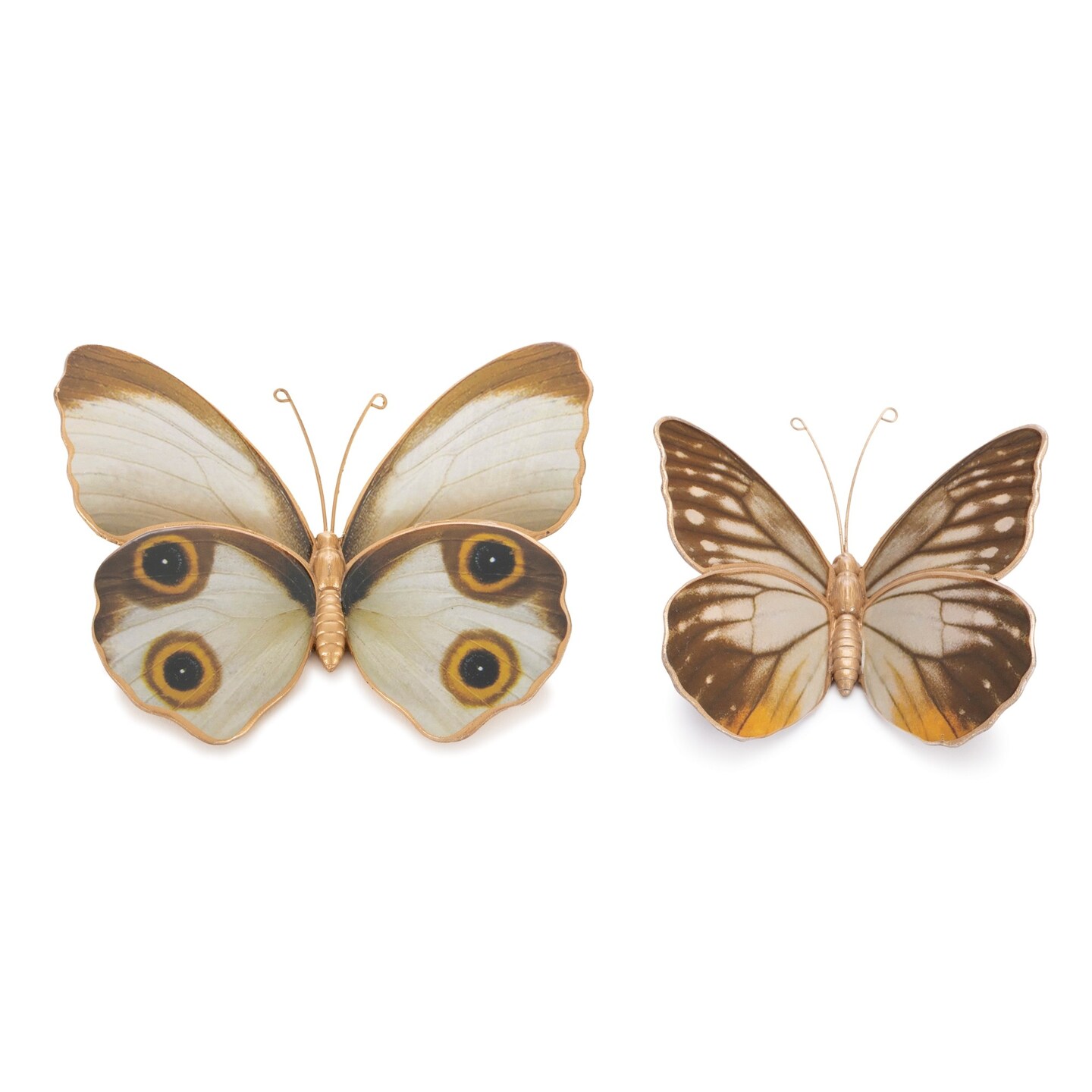 Melrose Butterfly and Moth Shelf Sitter Figurines - 5.25&#x22; - Set of 2