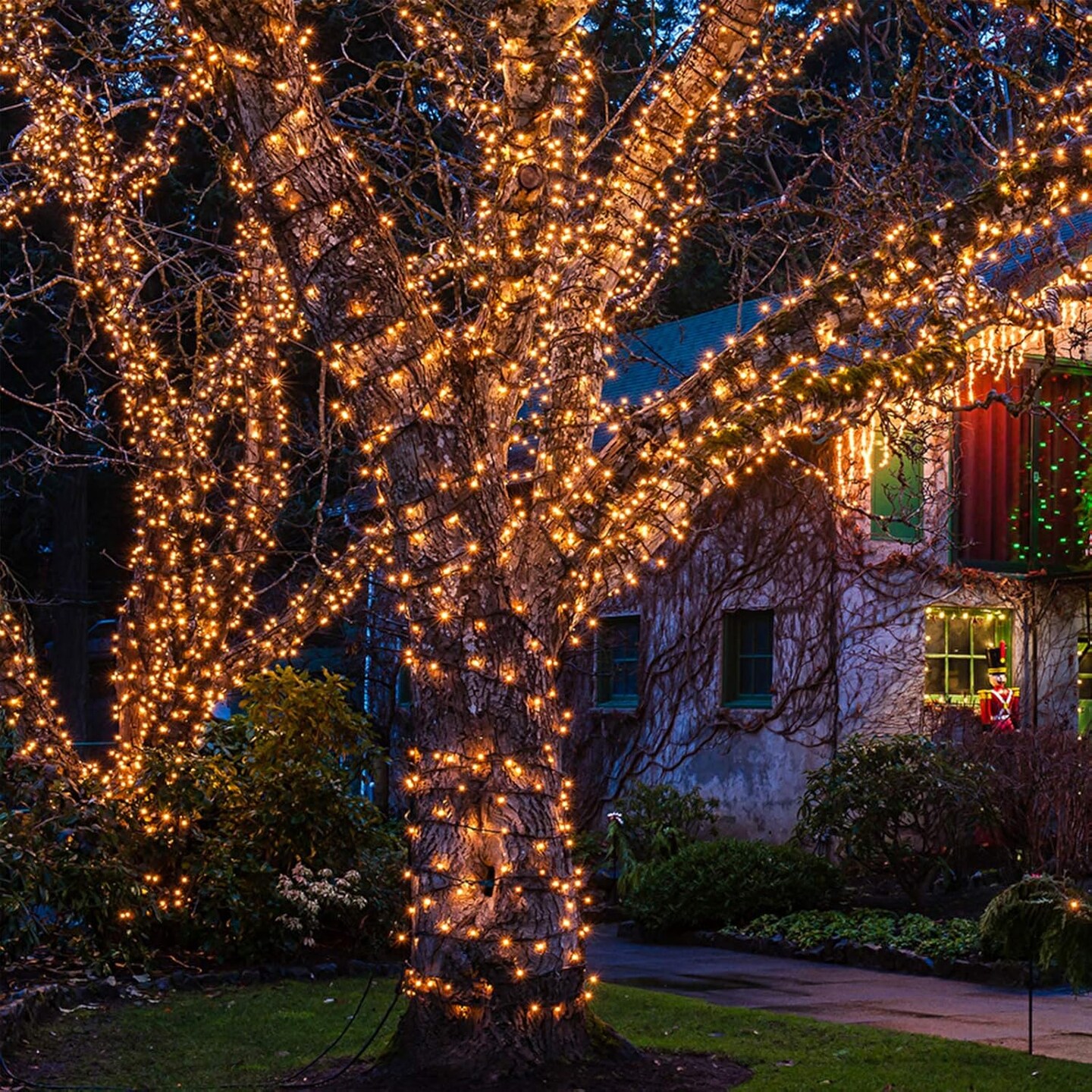 Christmas Lights 100 Count Mini Clear Lights 32ft White Wire Christmas Tree String Lights Set for Outdoor Indoor Christmas Decorations