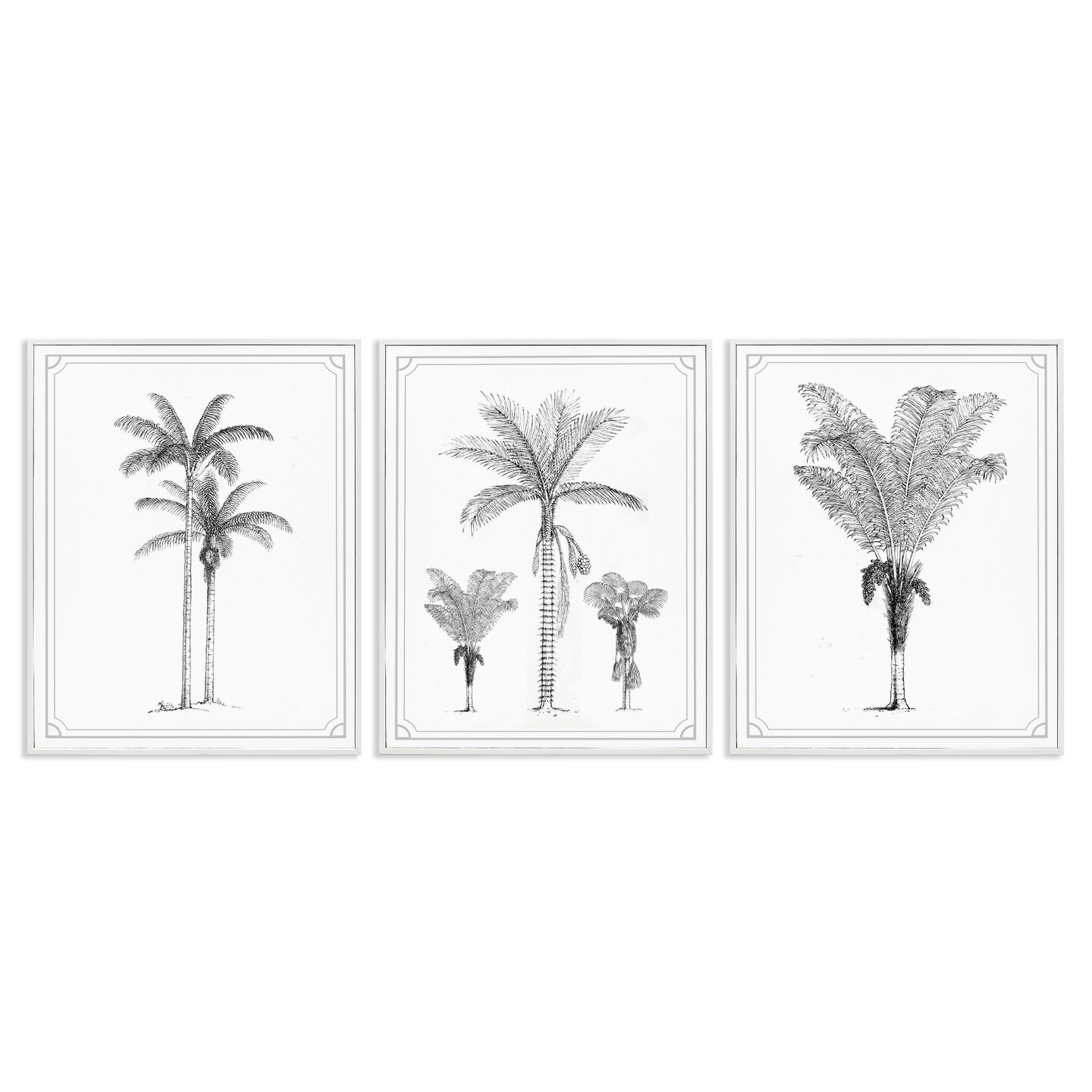 Stupell Industries Minimal Vintage Palm Tree Sketches 3pc Framed Giclee Set, design by Lettered and Lined