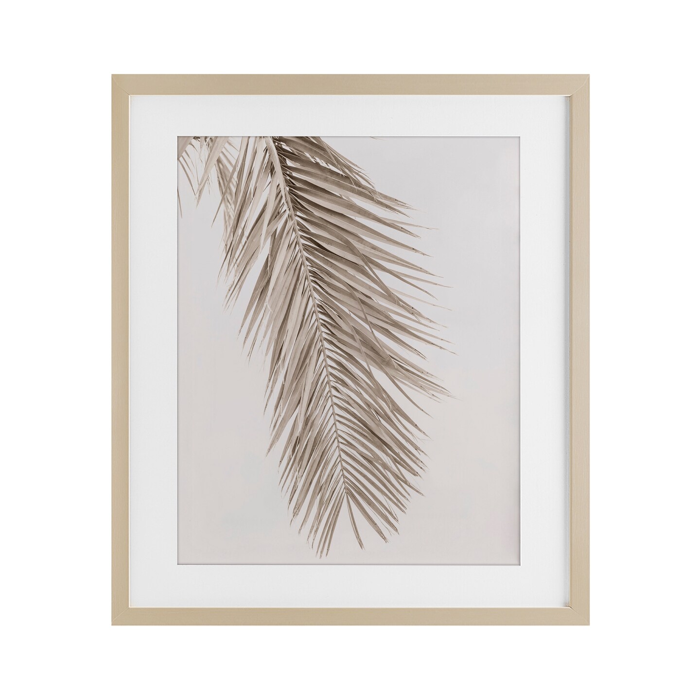 Stupell Industries Falling Neutral Brown Palm Framed Print Under Glass, design by Sisi and Seb