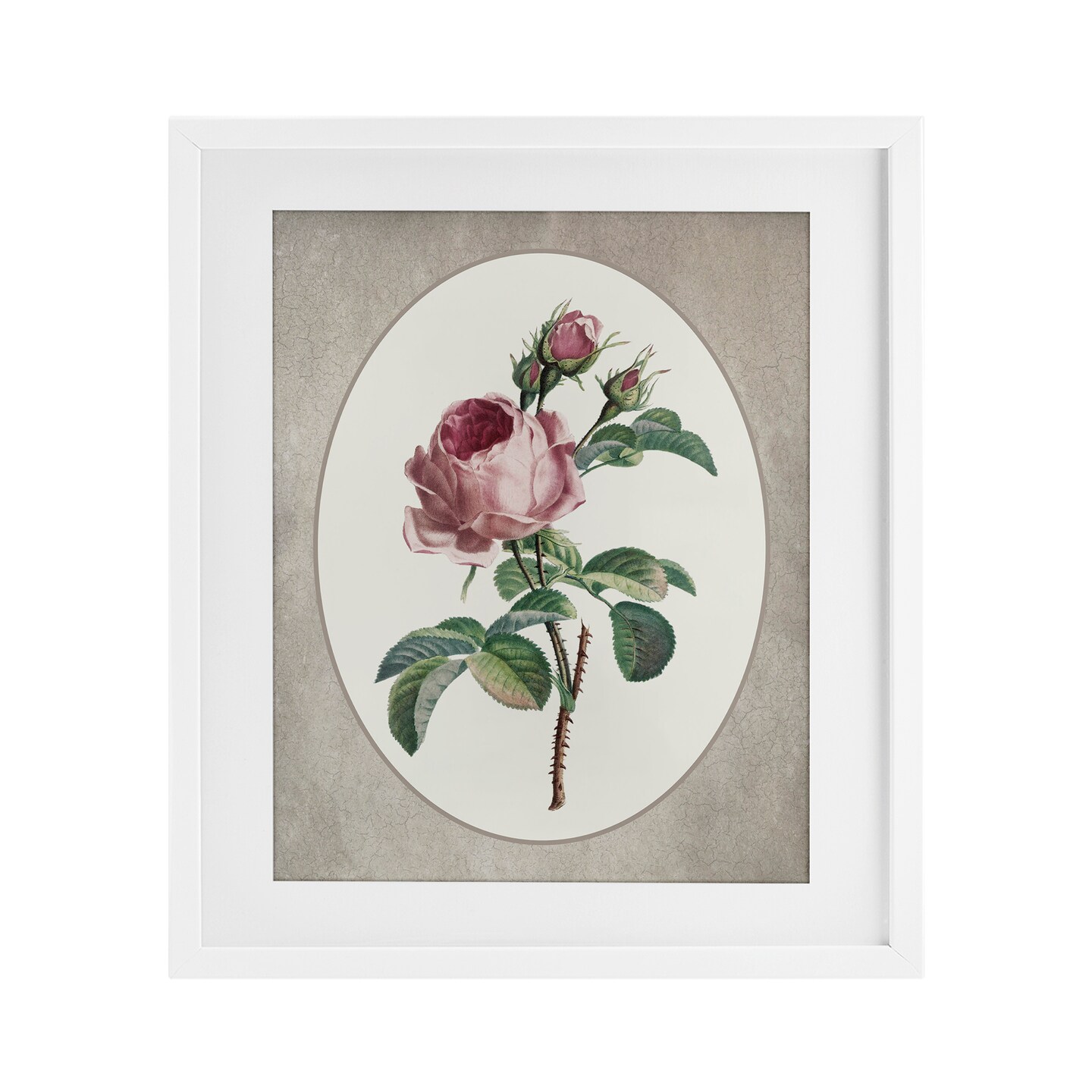 Stupell Industries Vintage Rose within Oval Framed Print Under Glass, design by Lettered and Lined