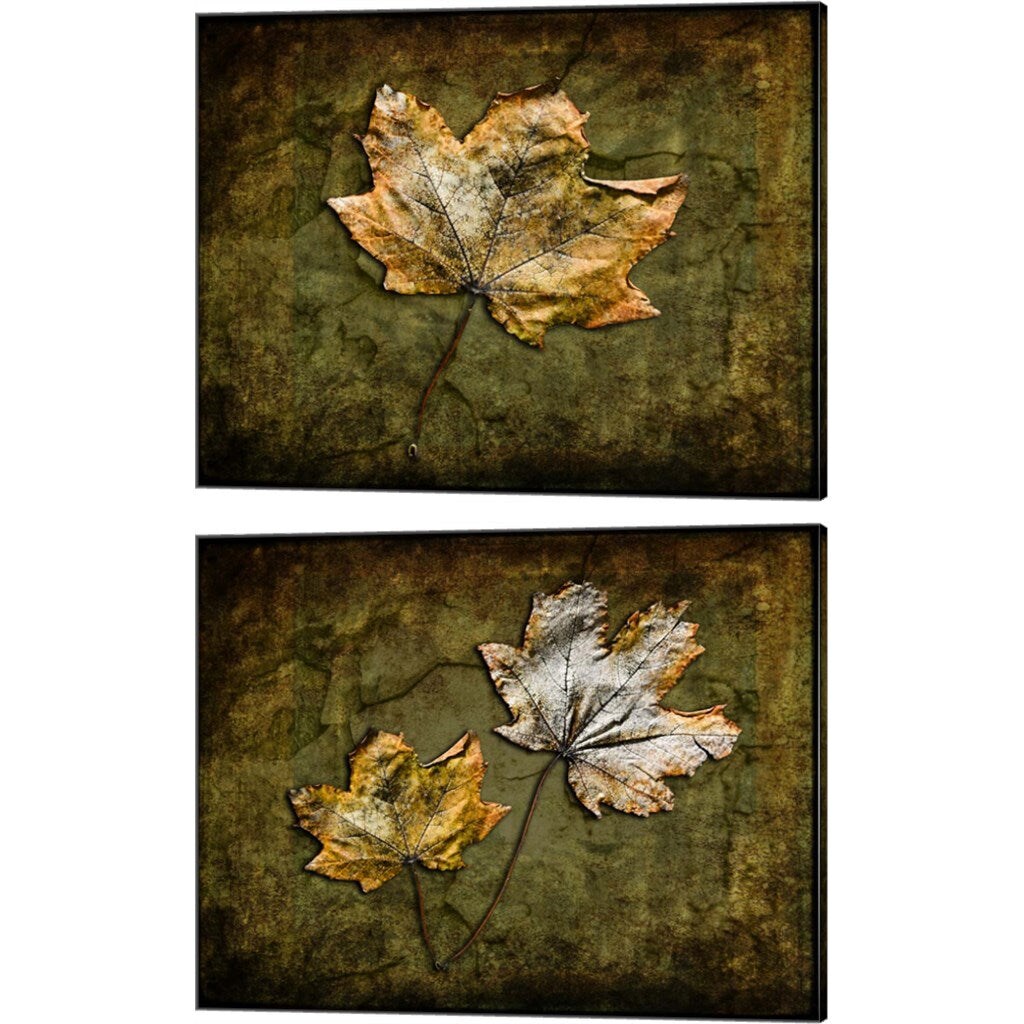 Metallic Leaf by LightBoxJournal, 2 Piece Canvas Art Set 16x20 Inch