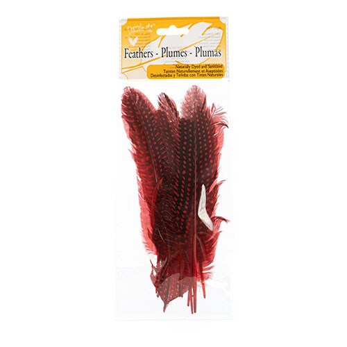 John Bead 6-9in Guinea Fowl Quill Feathers, 3 Headers (10ct.)
