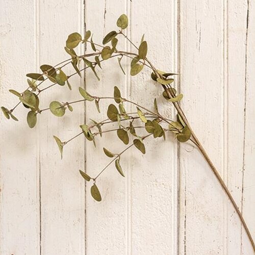Penny Leaf Spray