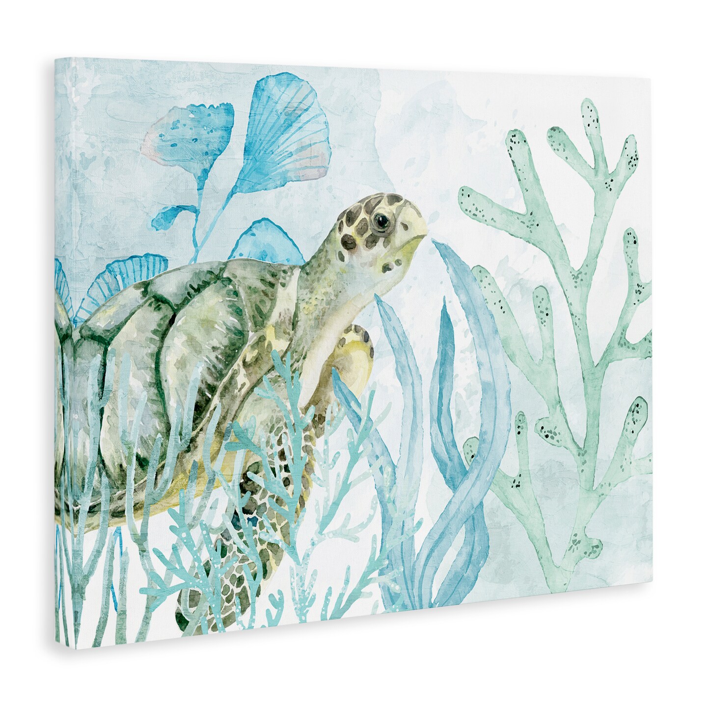 Stupell Industries Turtle in Watercolor Coral Canvas Wall Art Design by Kim Allen
