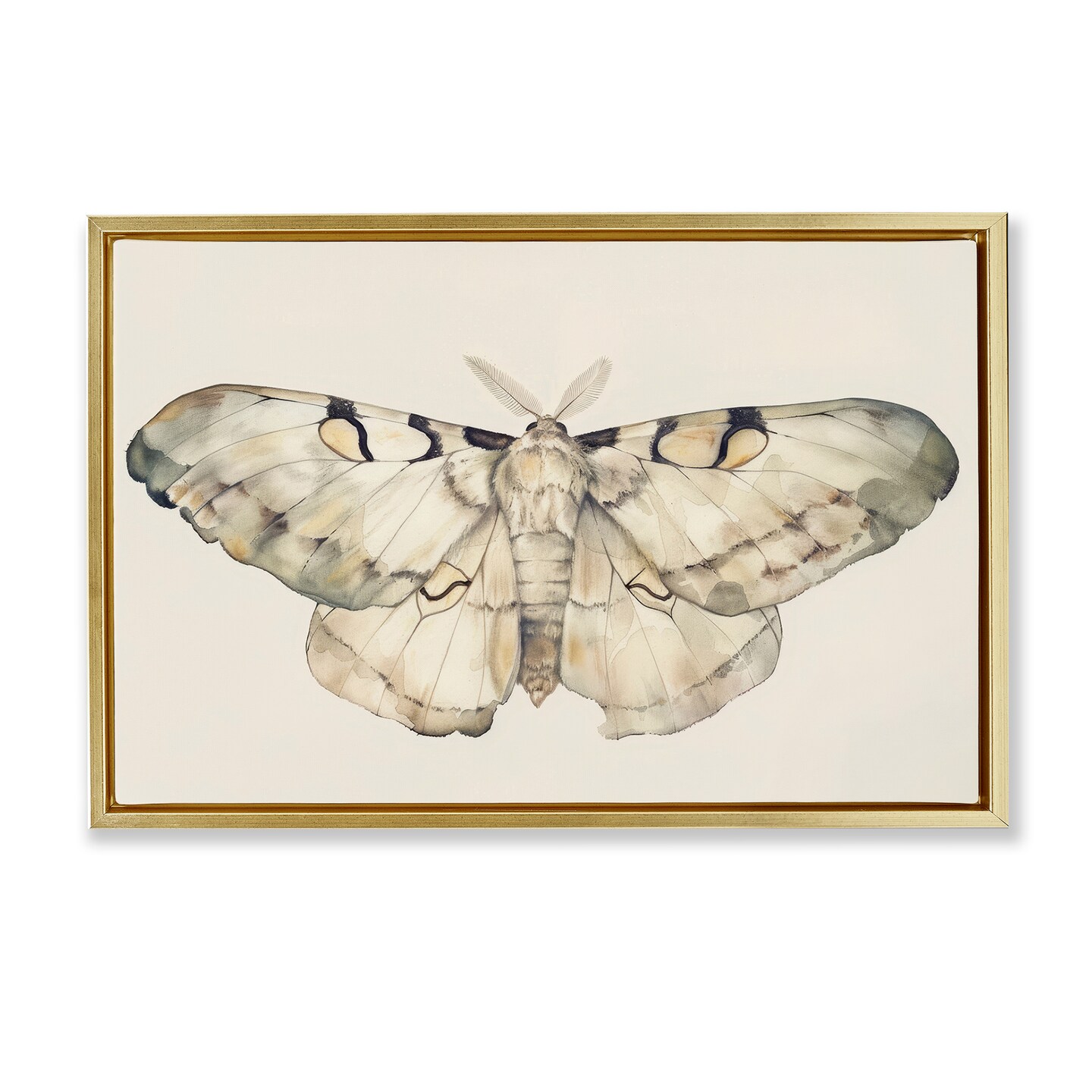 Stupell Industries Dusty Beige Moth Framed Floater Canvas Wall Art Design by Petal Prints Design