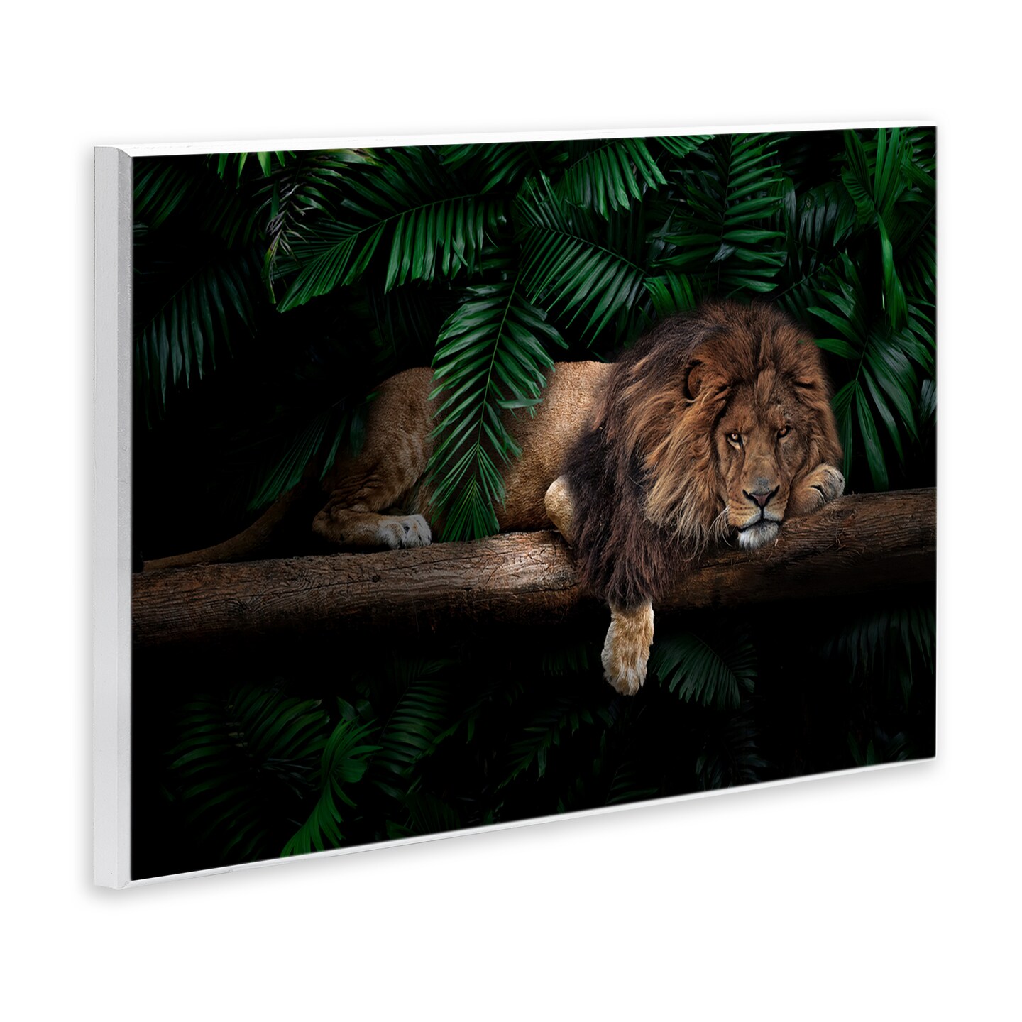 Stupell Industries Lion on Tropical Branch Wall Plaque Art Design by Reinders