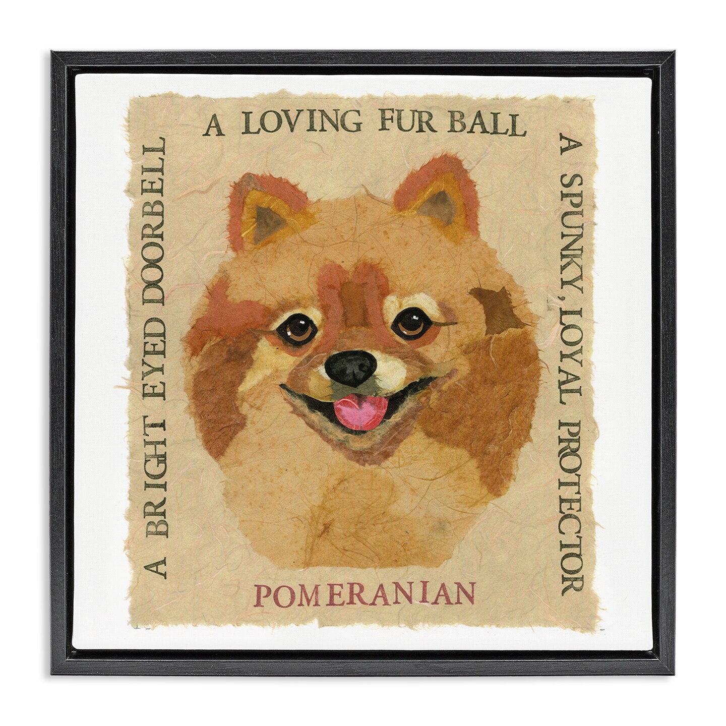 Stupell Industries Fun Pomeranian Pet Phrases Framed Floater Canvas Wall Art Design by Nancy Overton