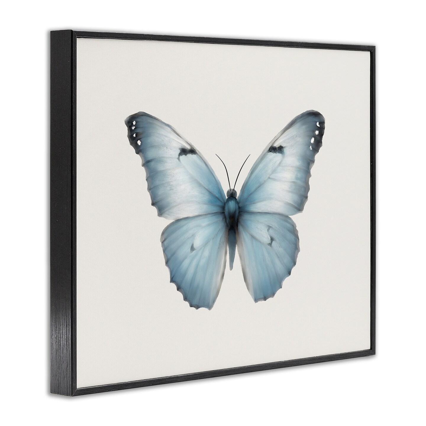 Stupell Industries Blue Symmetrical Butterfly Framed Giclee Wall Art Design by Elizabeth Medley