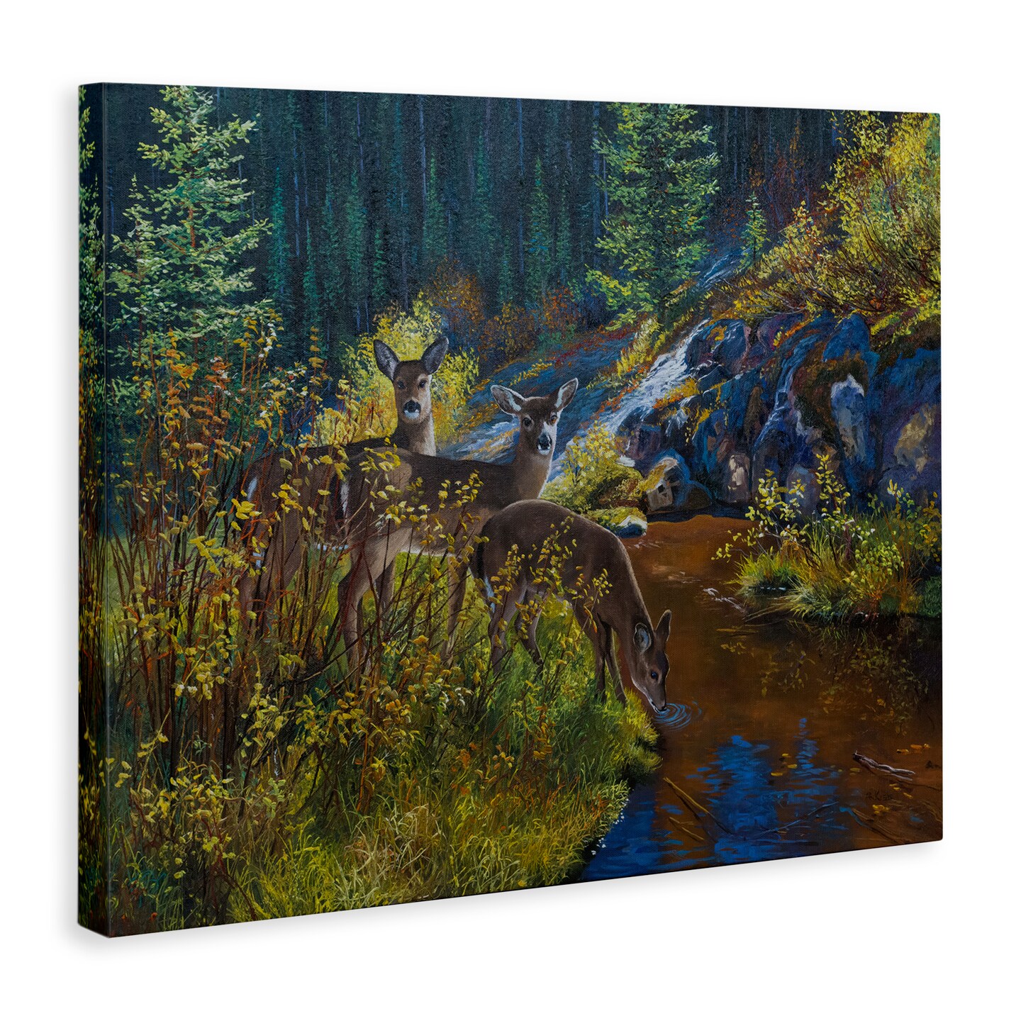 Stupell Industries Deer Drinking from River Canvas Wall Art Design by Andrew Kiss