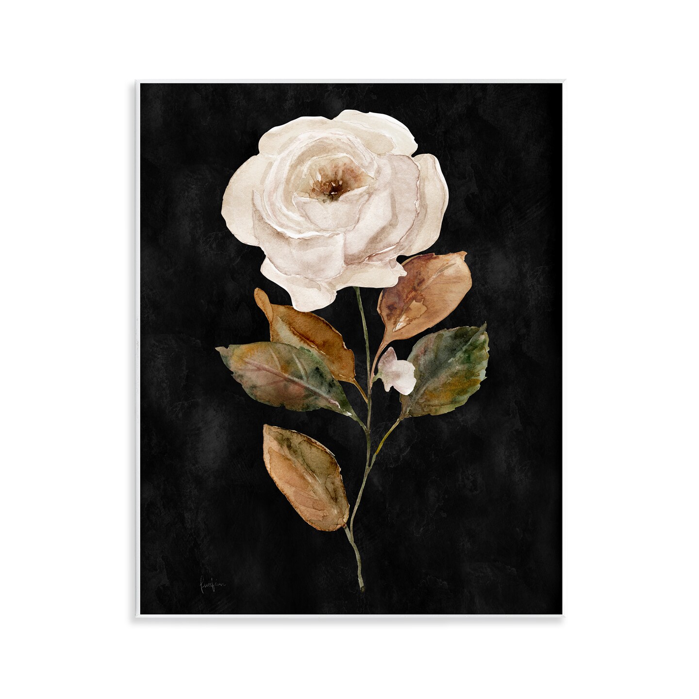 Stupell Industries White Rose on Black Wall Plaque Art Design by Livi Finn