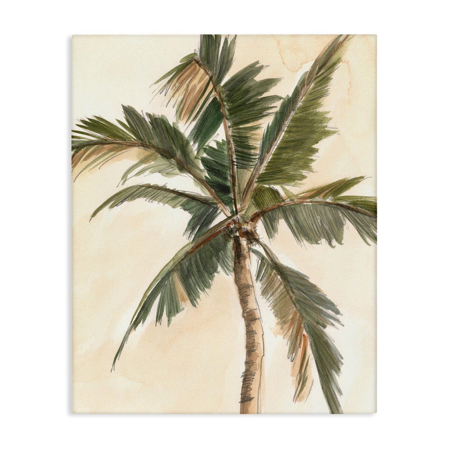Stupell Industries Muted Palm Tree Canvas Wall Art Design by Ethan Harper