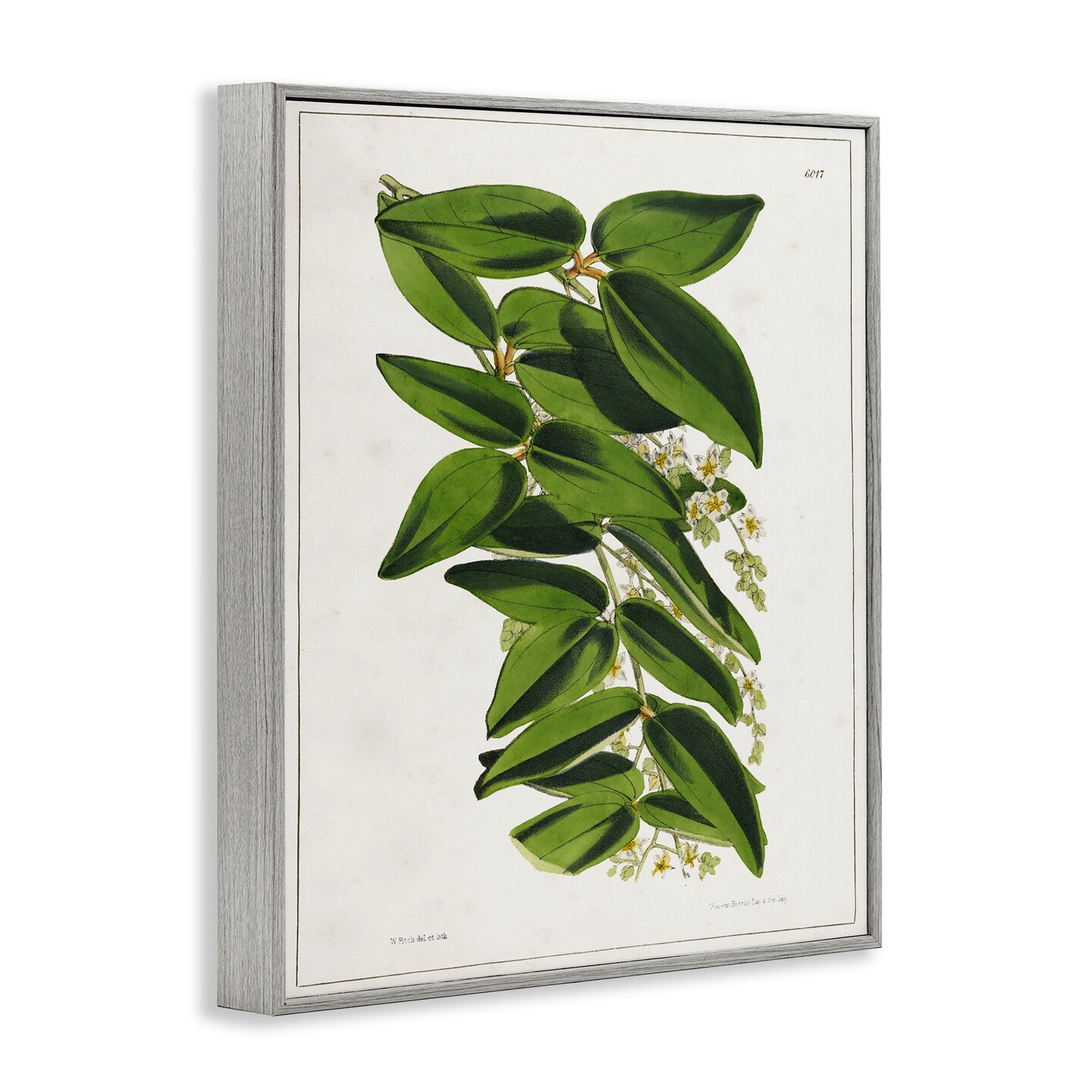 Stupell Industries Stacked Leaves Botanical Framed Giclee Wall Art Design by Tina Higgins Designs, Inc.