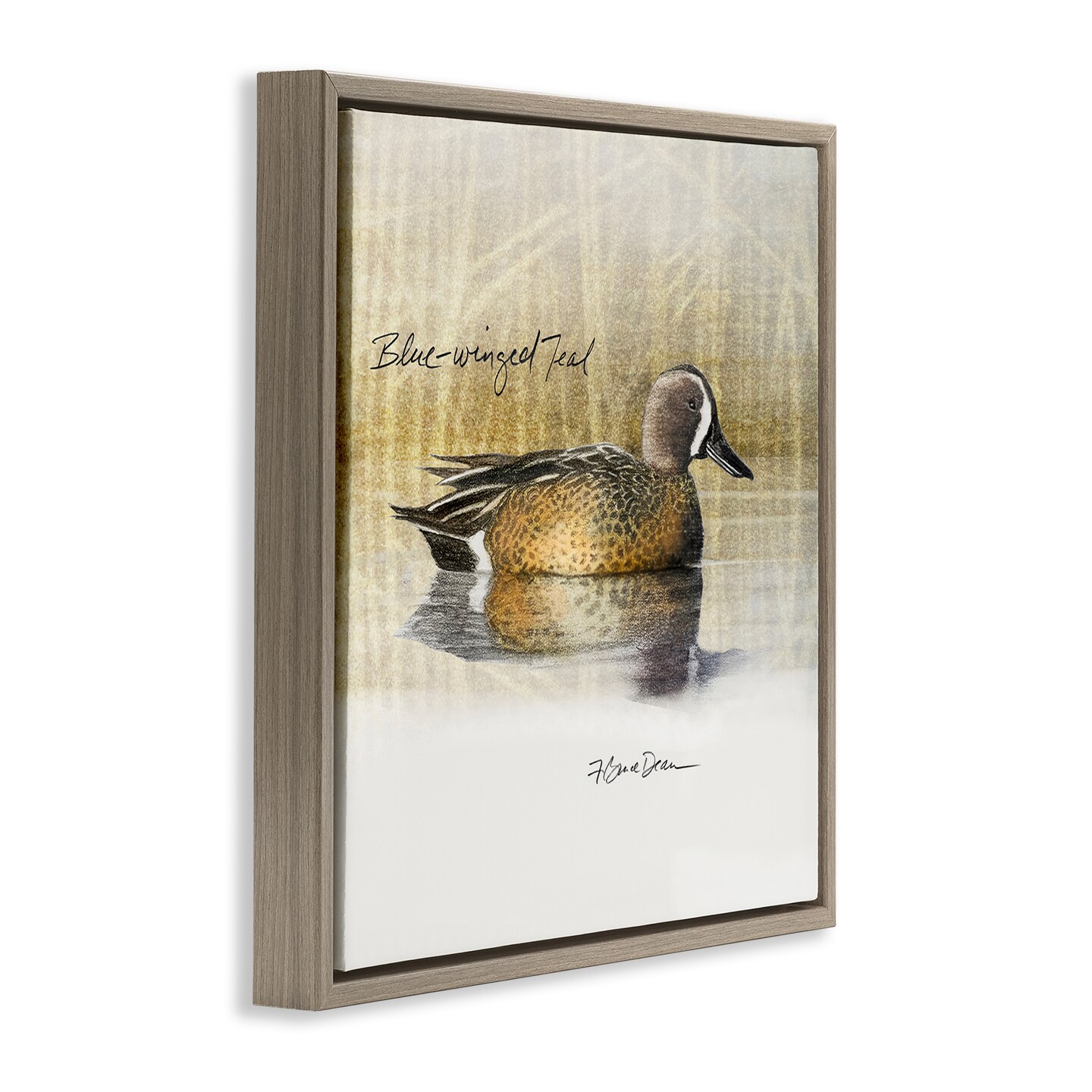 Stupell Industries Blue Winged Teal Duck Framed Floater Canvas Wall Art Design by Jadei Graphics