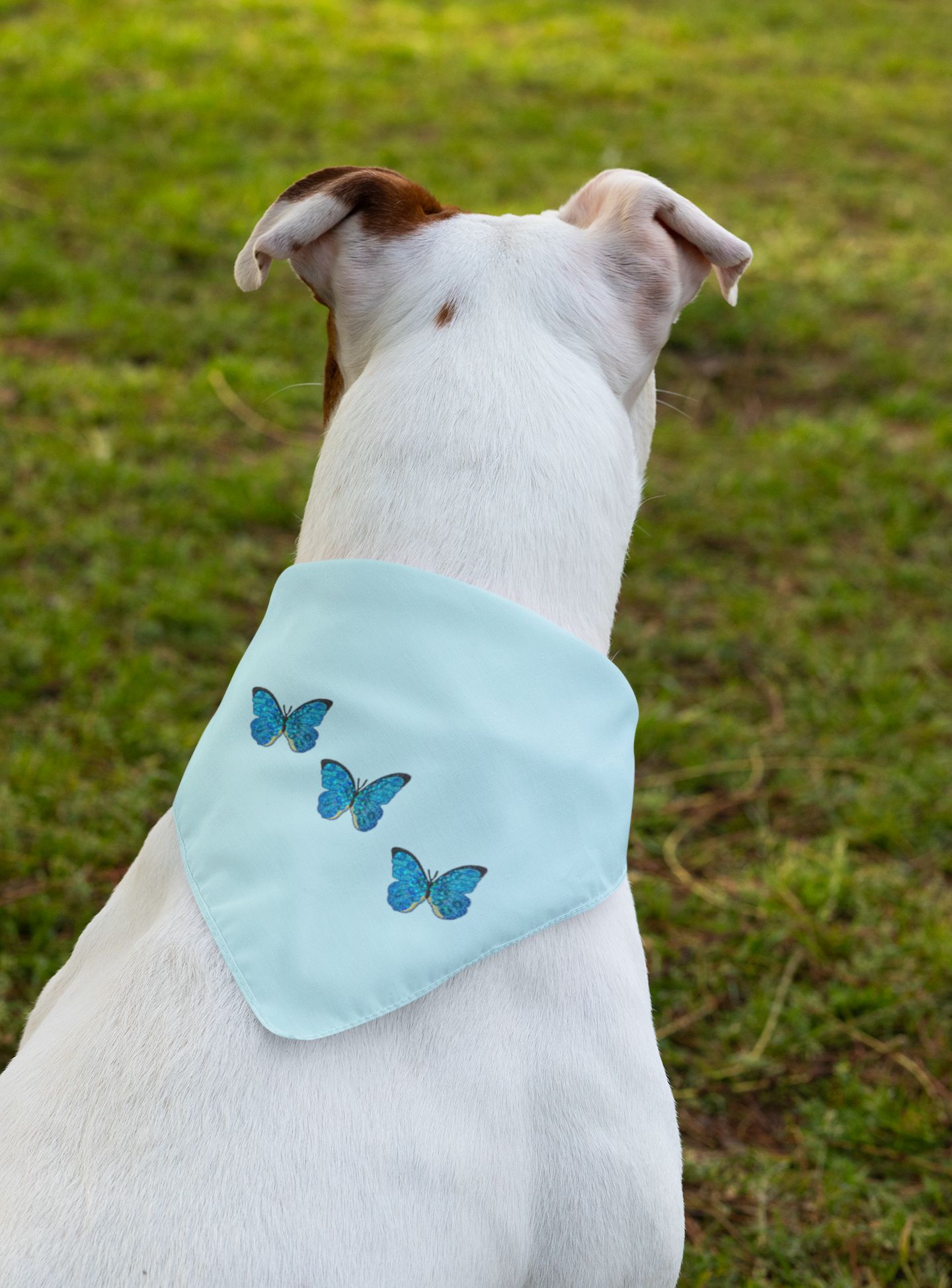 Set of 3, Blue Sequin Butterfly, Embroidered, Iron on Patch