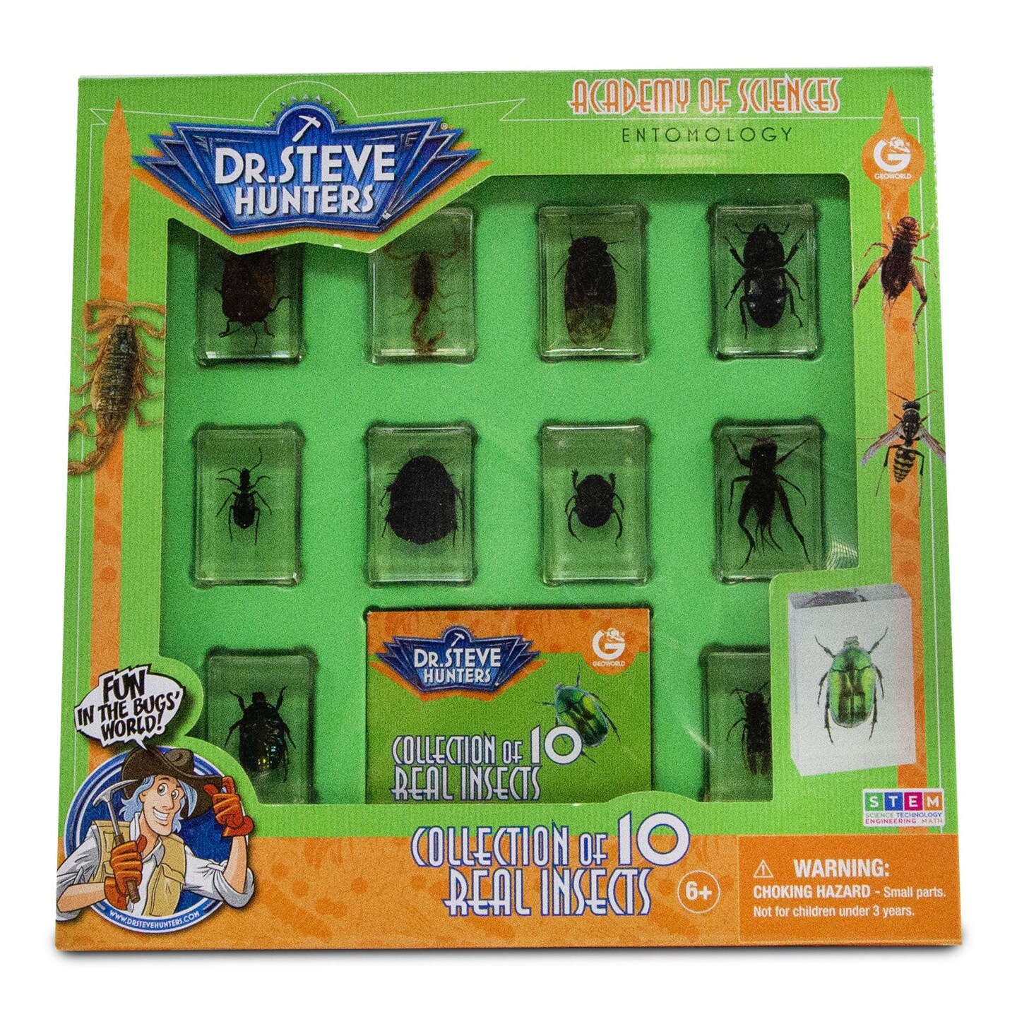 Dr. Steve Hunters Bug World Collection - 10 Real Insects Science & Education Toy Set