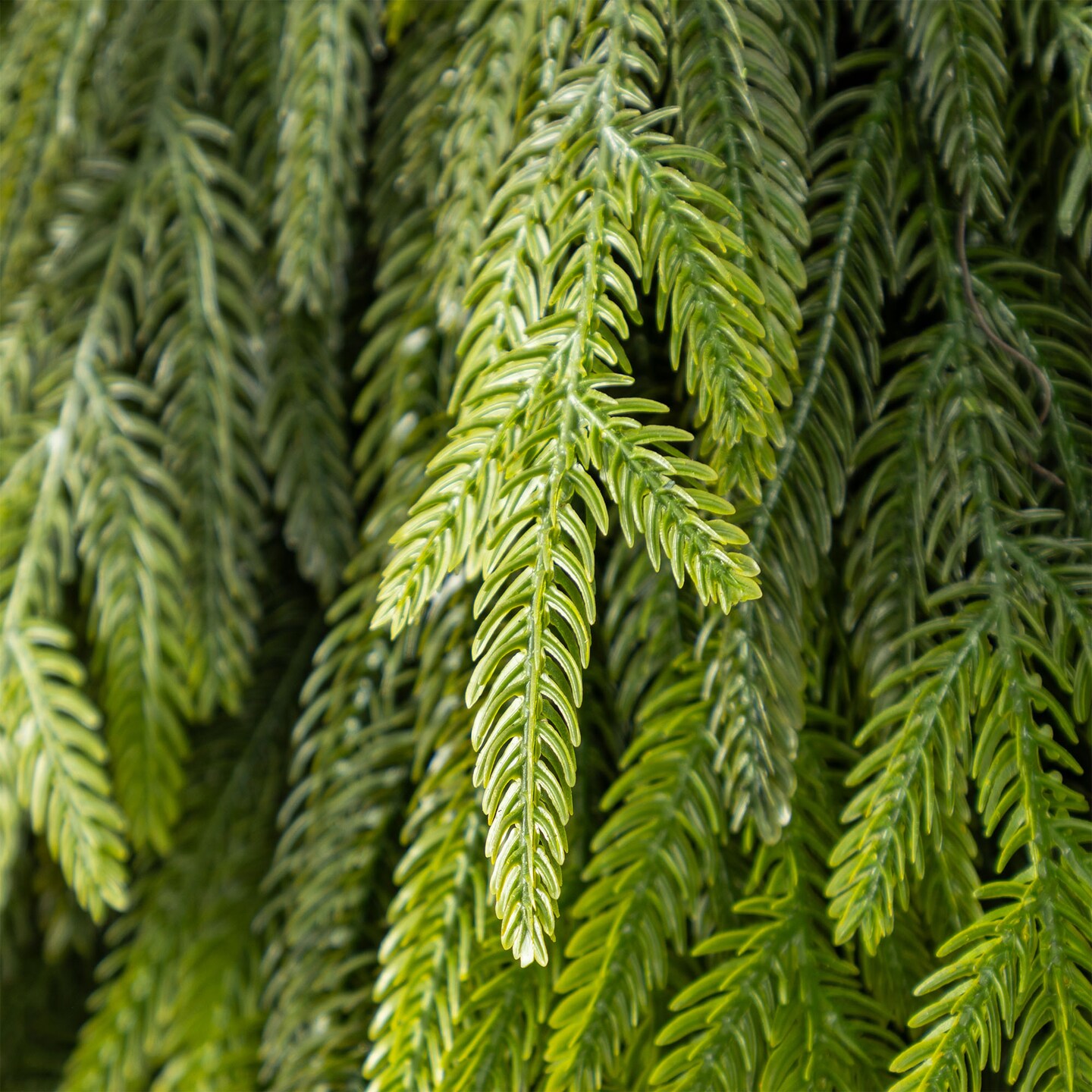 Christmas Greenery Pine PE Dripping Garland / Wreath / Teardrop