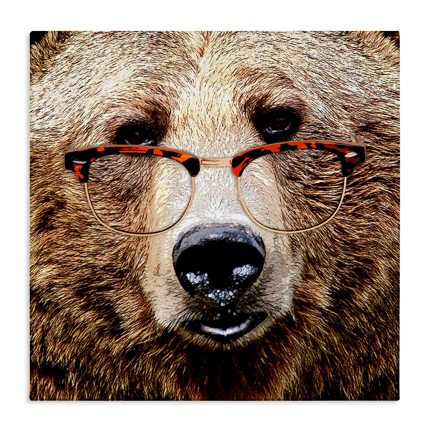 Stupell Industries Grizzly Bear with Glasses Canvas Wall Art