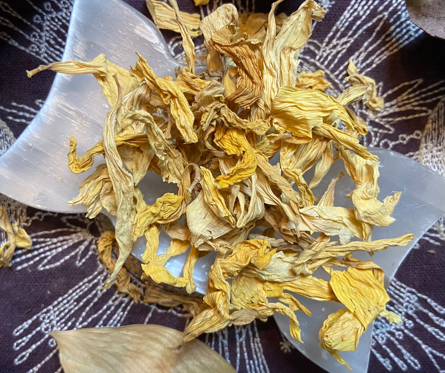 Sunflower Petals, Happiness, Fertility, Clarity, Success, Self-Confidence, All Natural, Dried Petals