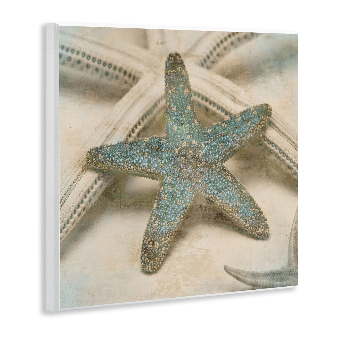 Stupell Industries Distressed Texture Starfish Wall Plaque Art
