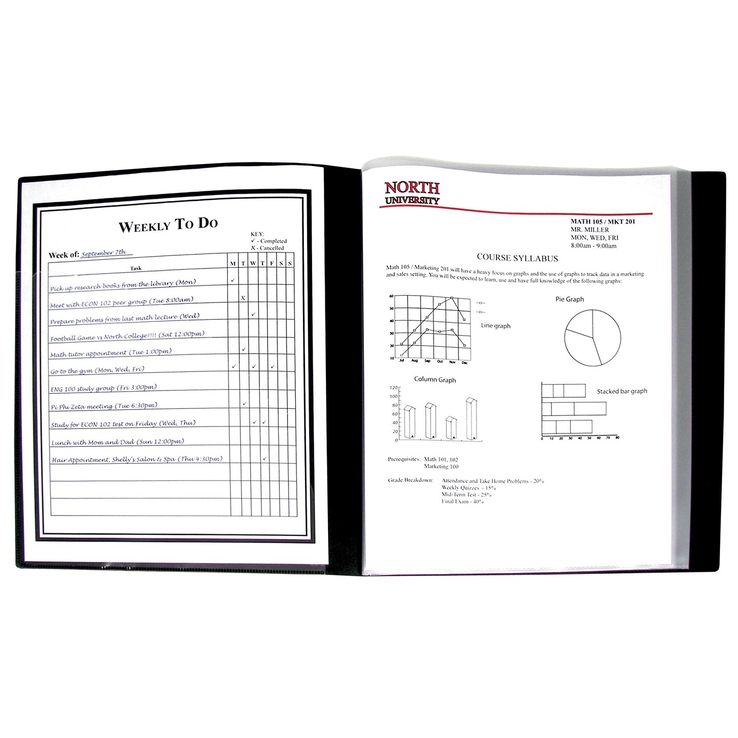 Bound Sheet Protector Presentation Book, 12-Pocket
