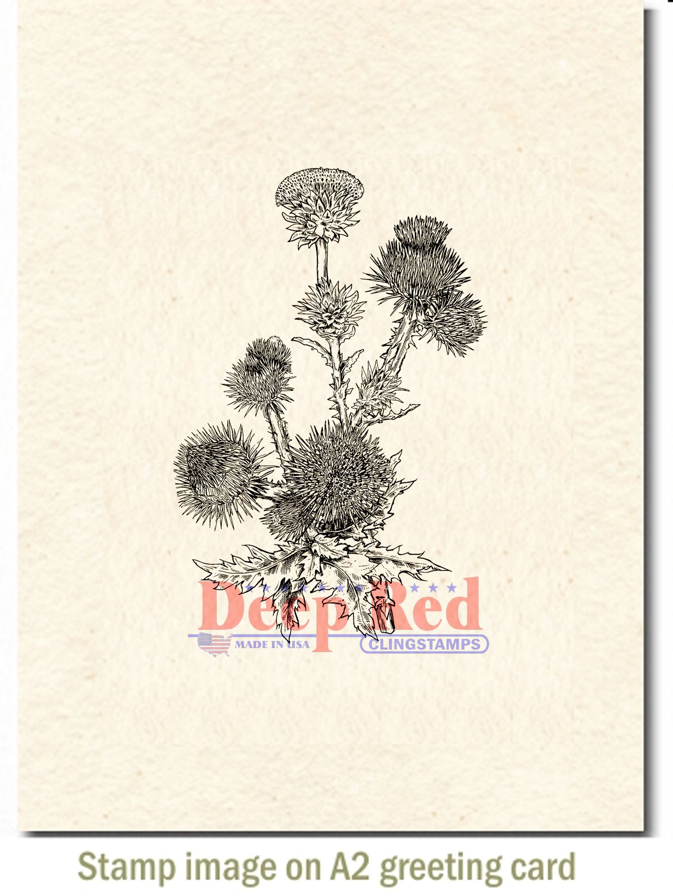 Deep Red Stamps Thistle Rubber Cling Stamp