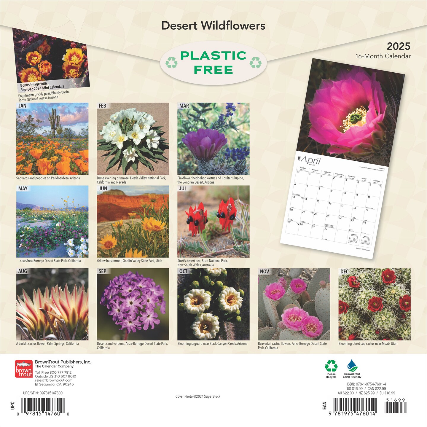 Desert Wildflowers | 2025 12 x 24 Inch Monthly Square Wall Calendar | Plastic-Free | BrownTrout | Floral Outdoor Plant Nature
