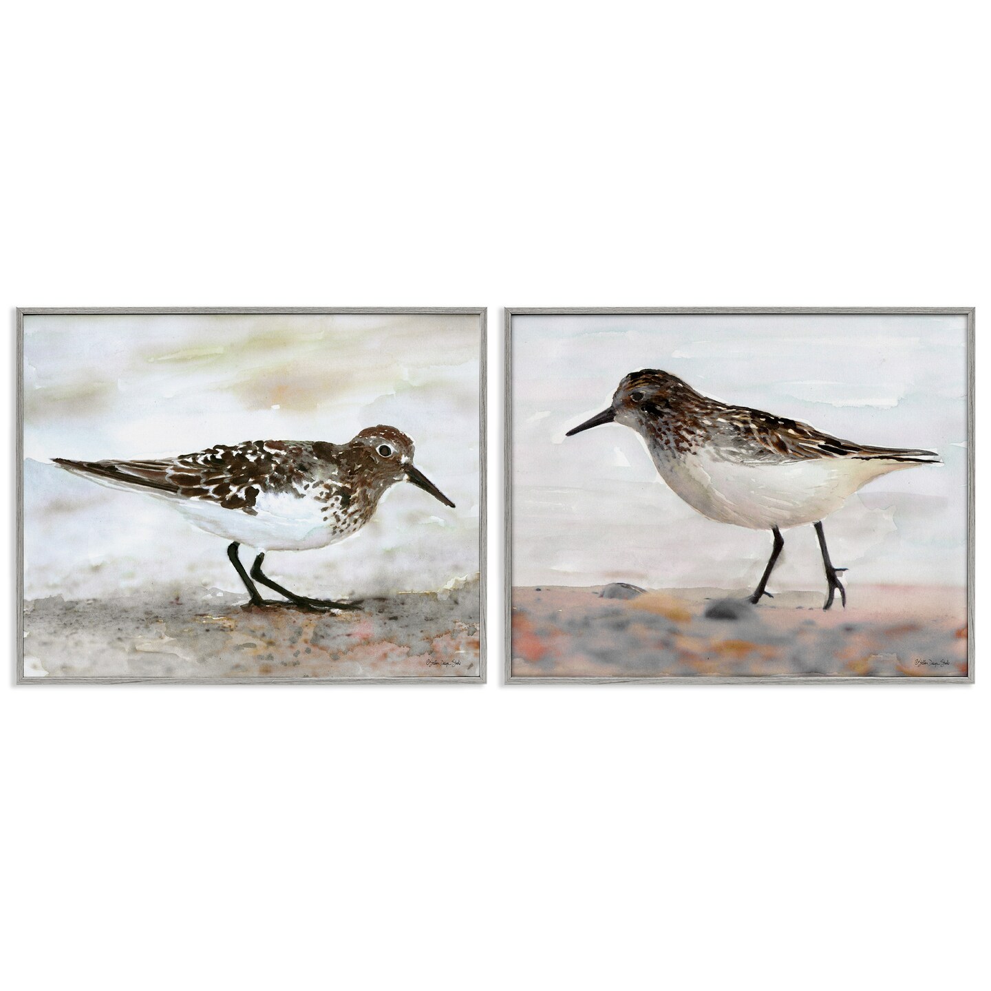 Stupell Industries Sandpipers on Coast Nautical Beach Framed Giclee Art ...