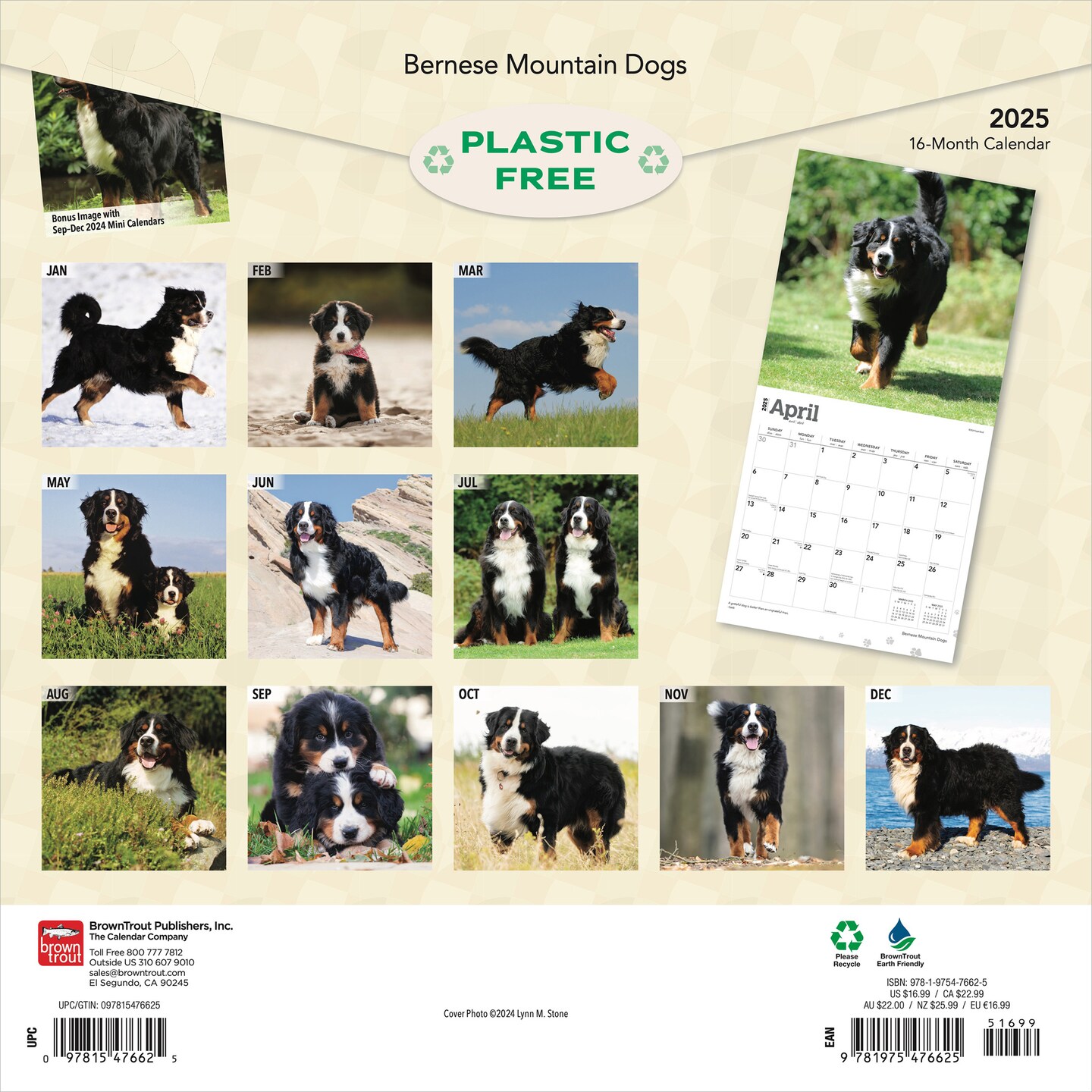 Bernese Mountain Dogs | 2025 12 x 24 Inch Monthly Square Wall Calendar | Plastic-Free | BrownTrout | Animals Breeds