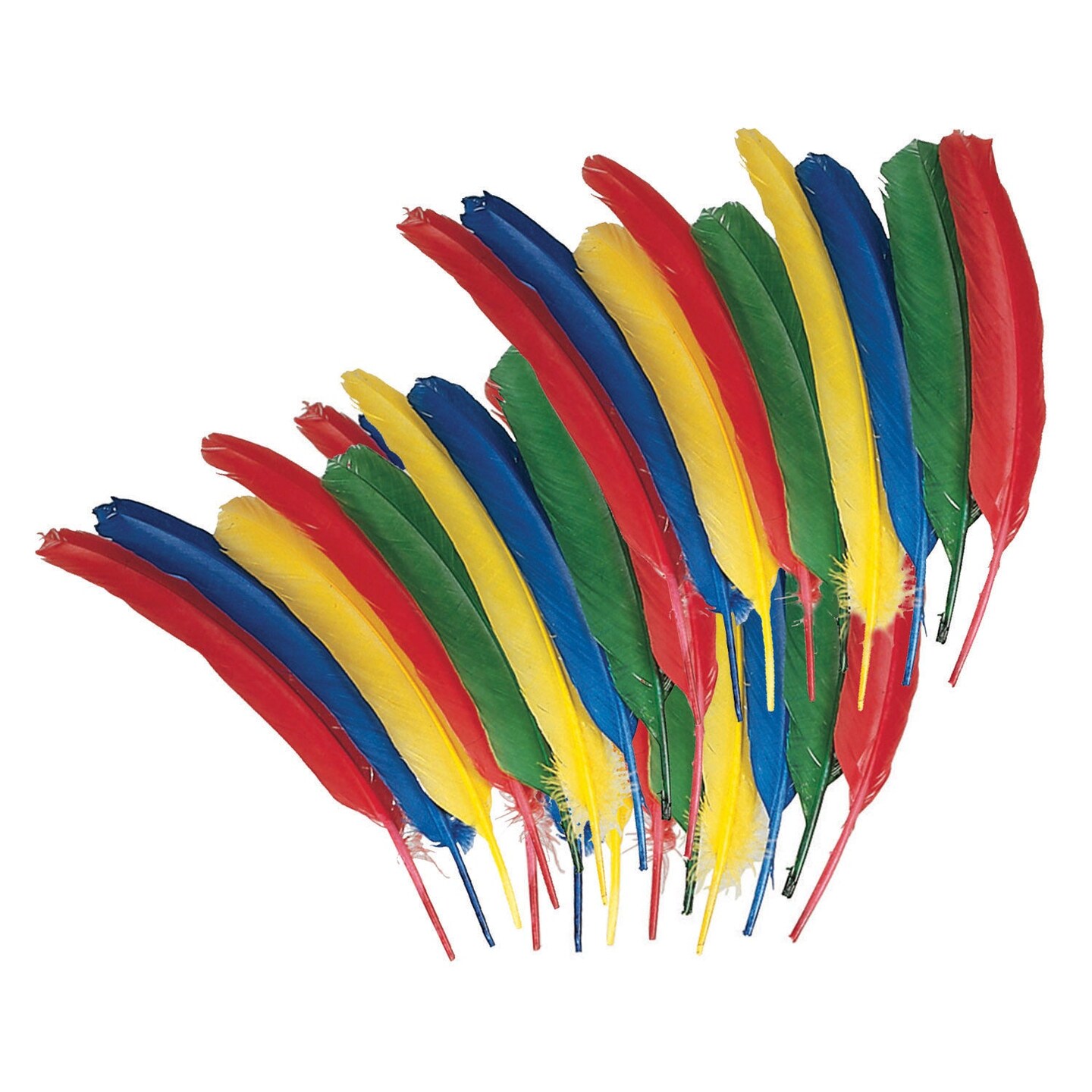 Quill Feathers, Assorted Colors, 12&#x22;, 24 Pieces