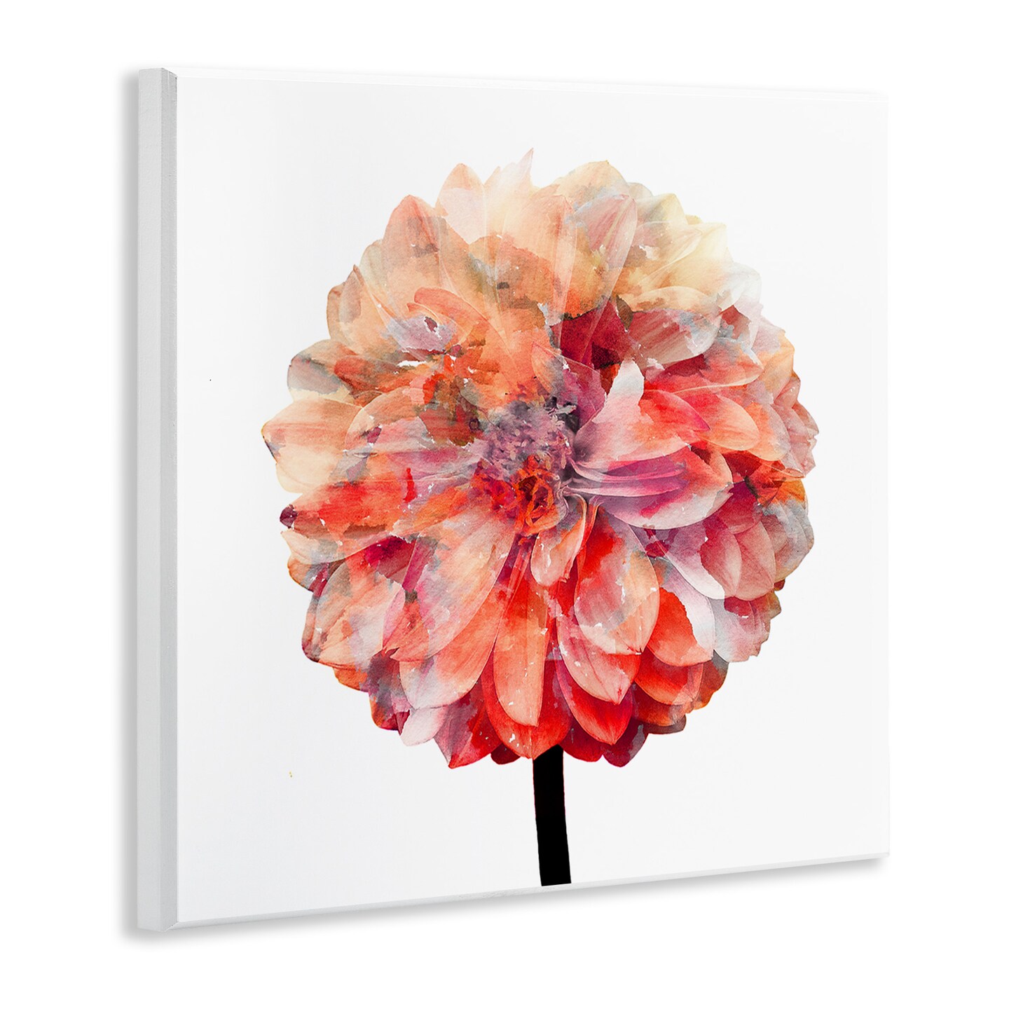 Stupell Industries Bright Coral Watercolor Bloom Wall Plaque Art