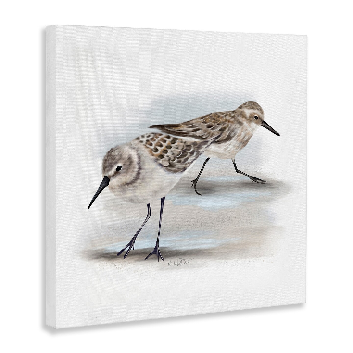 Stupell Industries Sandpiper Pair on Sandy Beach Canvas Wall Art