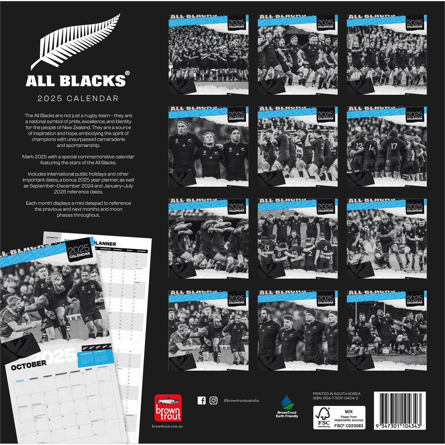 All Blacks OFFICIAL | 2025 12 x 24 Inch Monthly Square Wall Calendar | BrownTrout | Rugby Sport