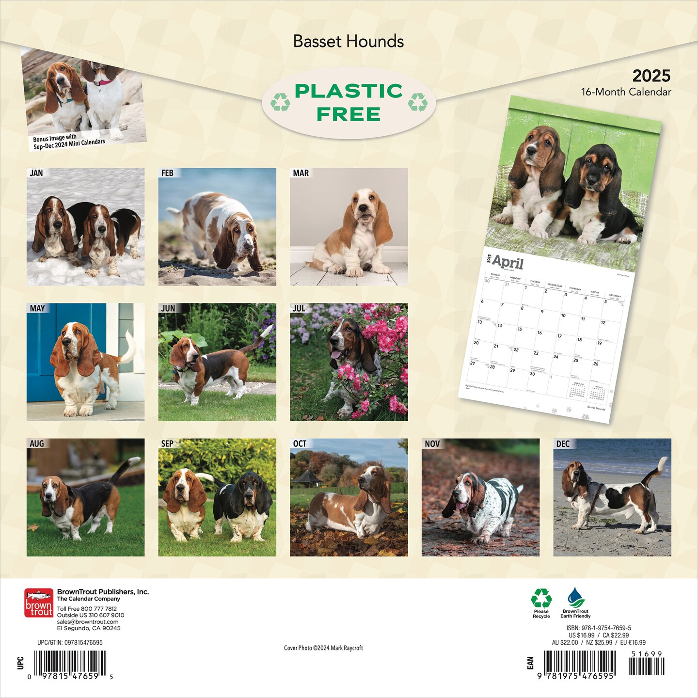 Amazon.com: Basset Hounds Calendar 2024 - 2025: A 24-Month